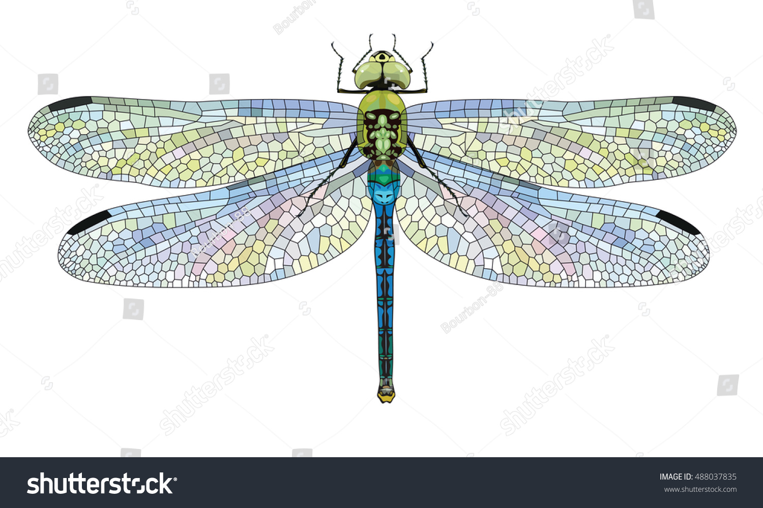 Dragonfly Aeschna Viridls with colorful wings beautiful, isolated on white, vector illustration, eps-10 #488037835