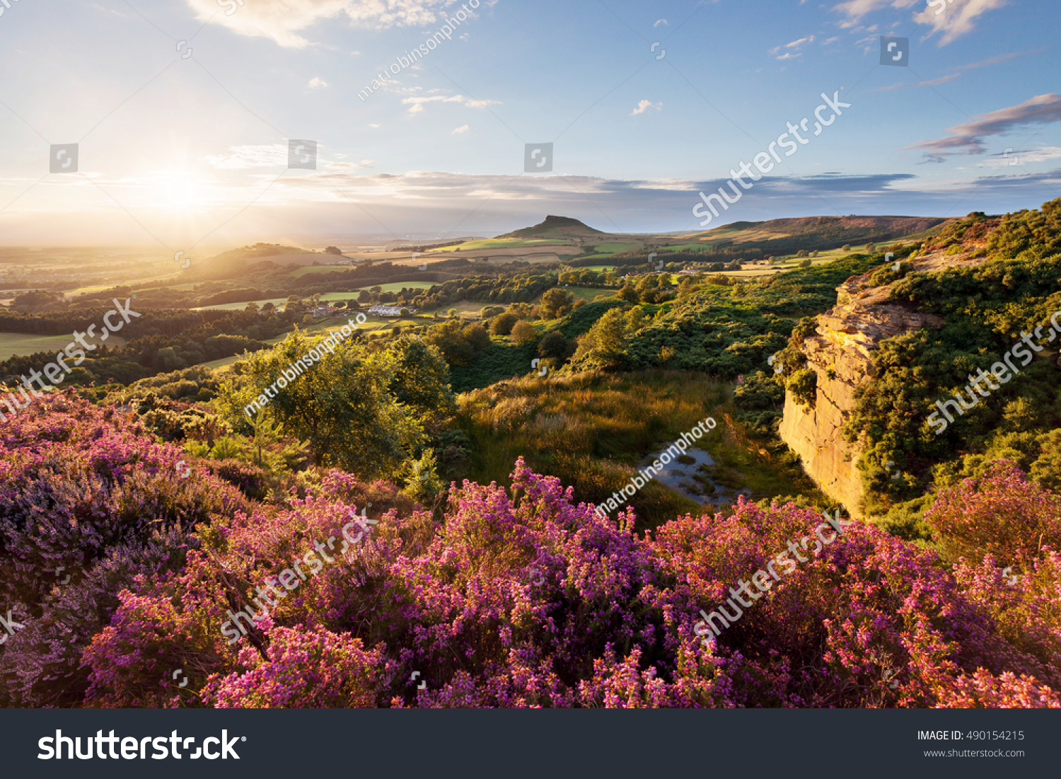 Sunset behind Roseberry Topping, taken from Cockshaw Hill in the North York Moors National Park. #490154215