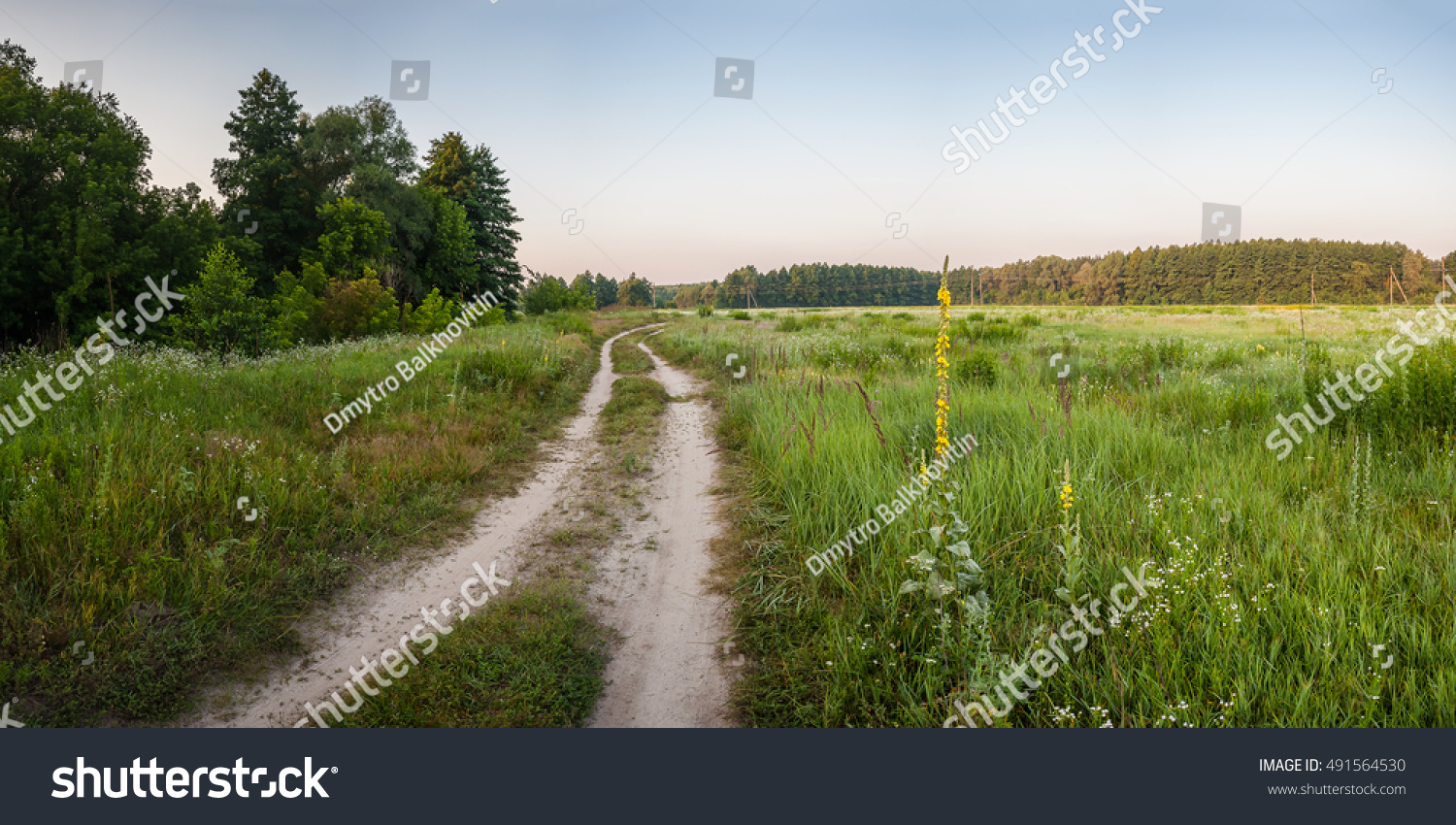 Summer landscape with a road between beautiful meadows, panorama #491564530