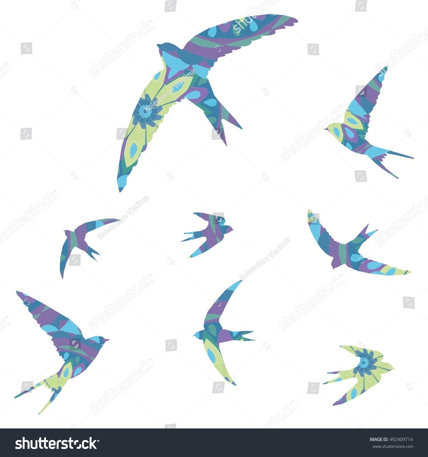 swallow bird - vector illustration - Royalty Free Stock Vector ...