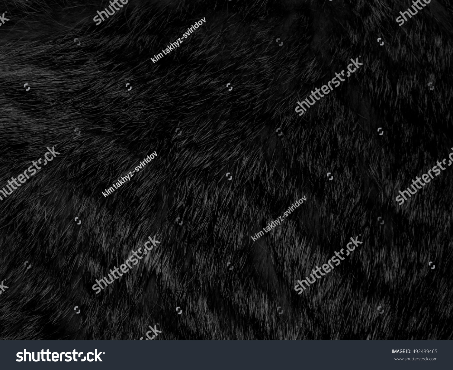 Natural fur of an animal on black and white photography #492439465