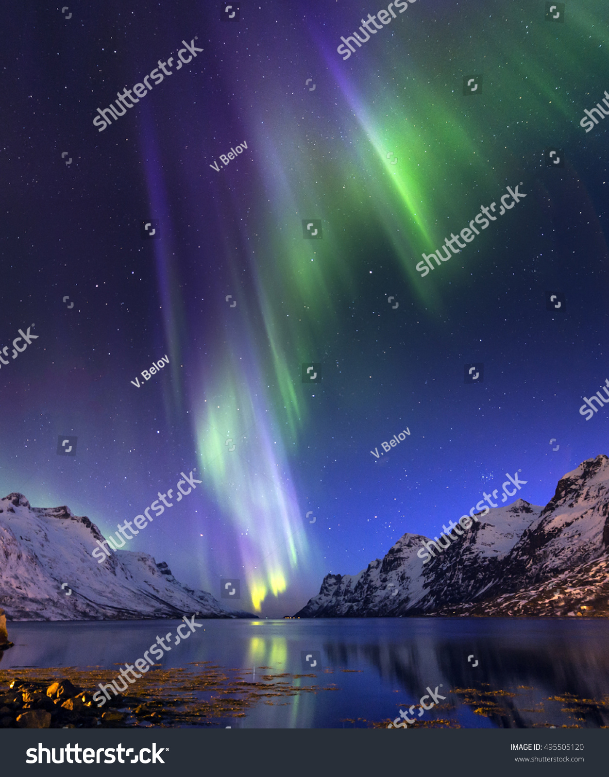 The polar lights in Norway,Tromso ,Ersfjord #495505120
