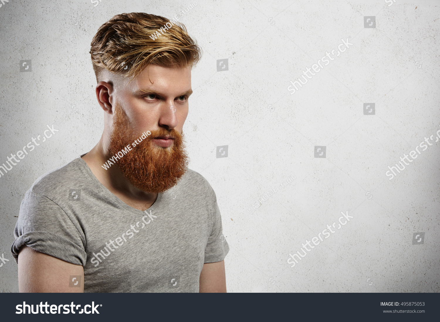Portrait of courageous and fashionable male model with long trendy beard and undercut hairstyle. Caucasian blond man in grey T-shirt looking sullenly ahead of him. Indoors shot on white background. #495875053