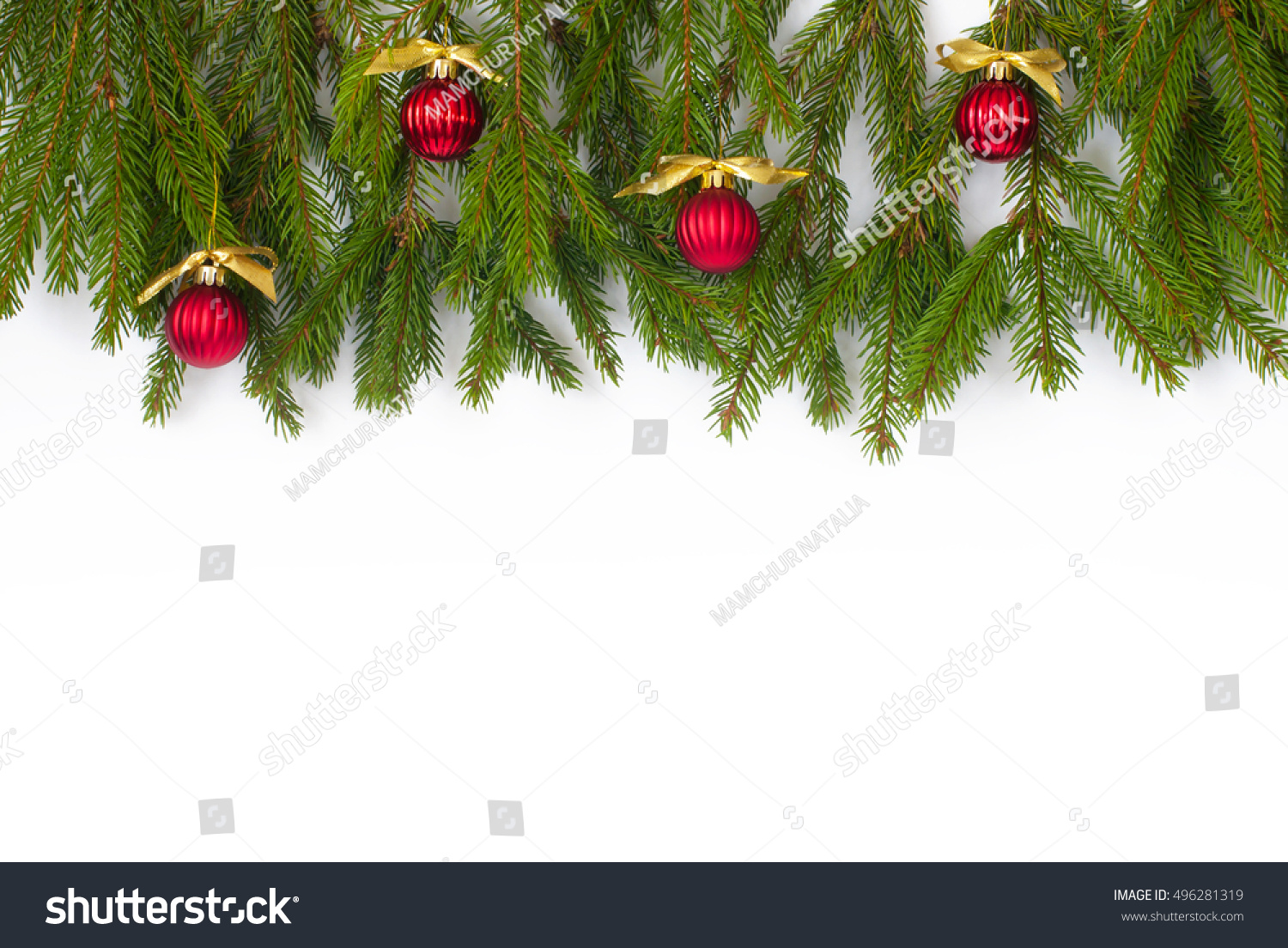 Christmas background with green tree branches on wood, red balls and golden ribbons #496281319