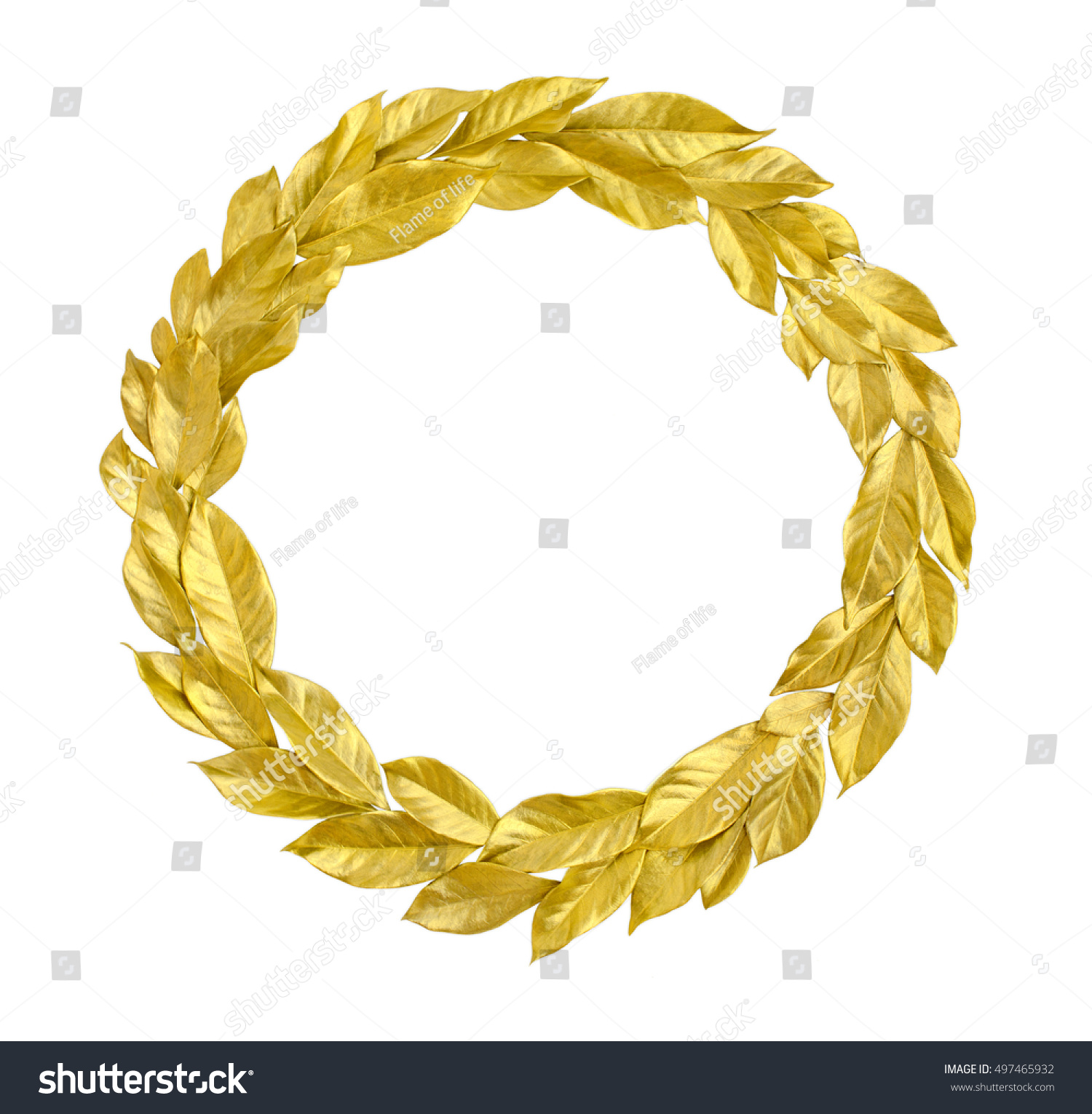 Round Laurel Wreath from golden leaves isolated on white background. Useful for holiday invitation, decorative design etc. #497465932