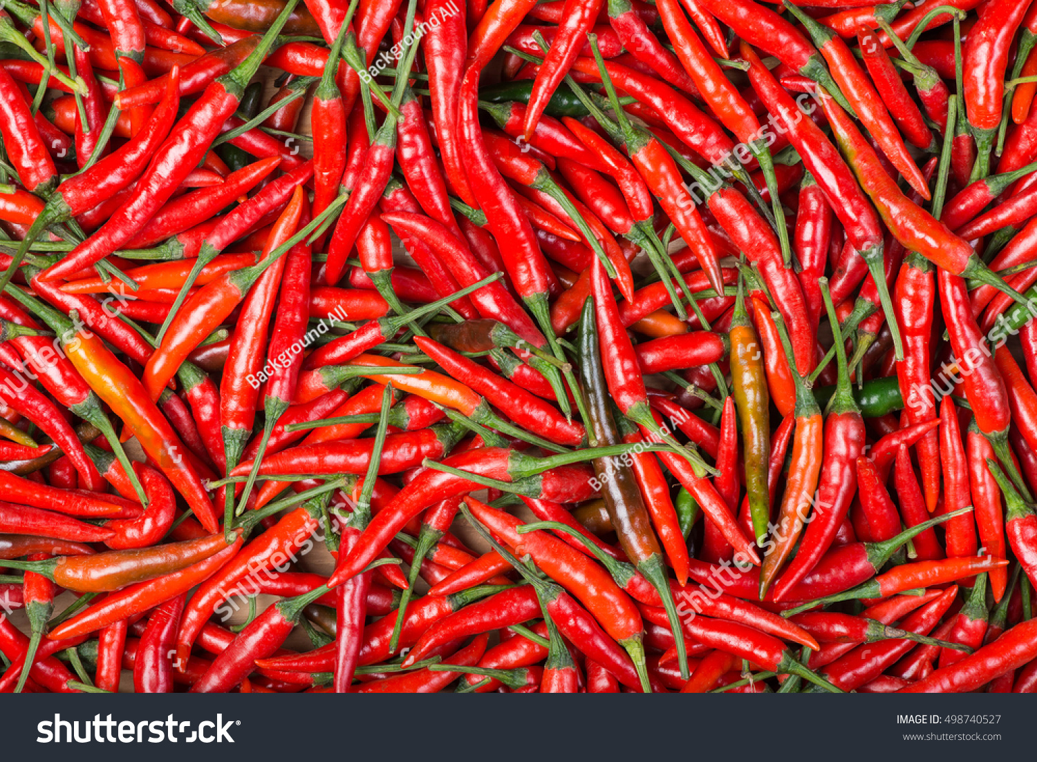 red chili background #498740527