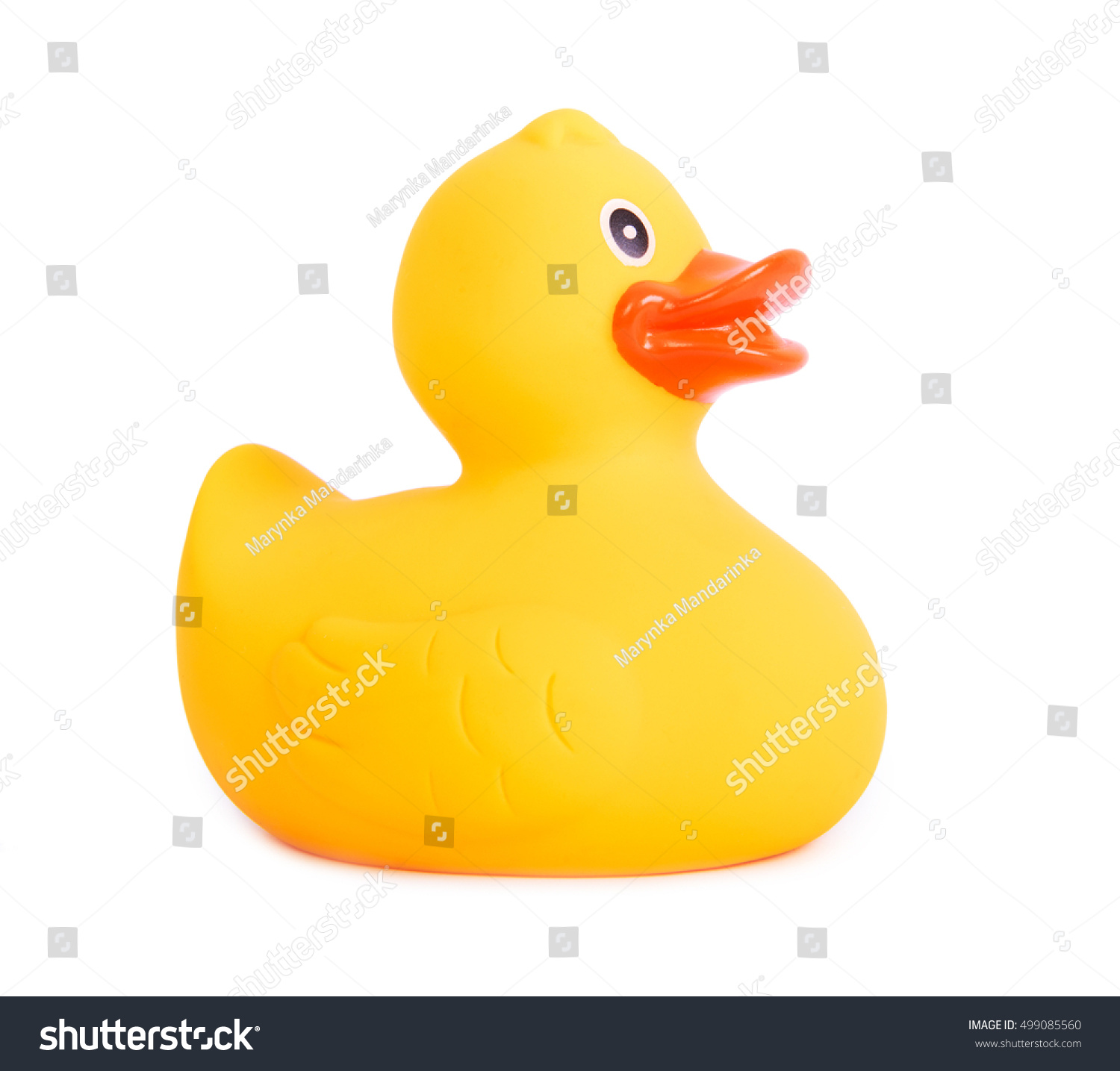 Rubber duck yellow toy for swimming isolated on white background #499085560