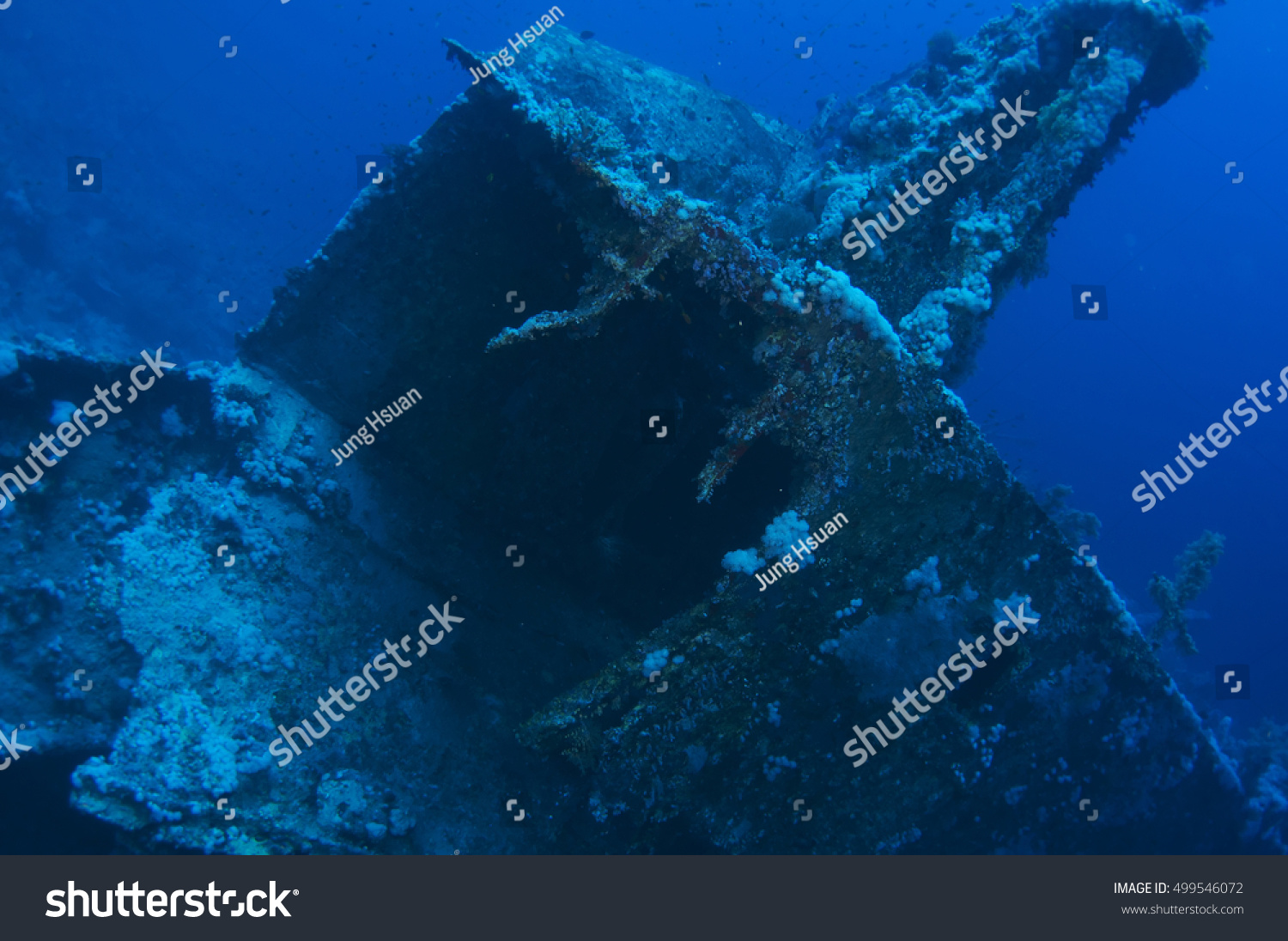Aida wreck, Red sea, Egypt #499546072