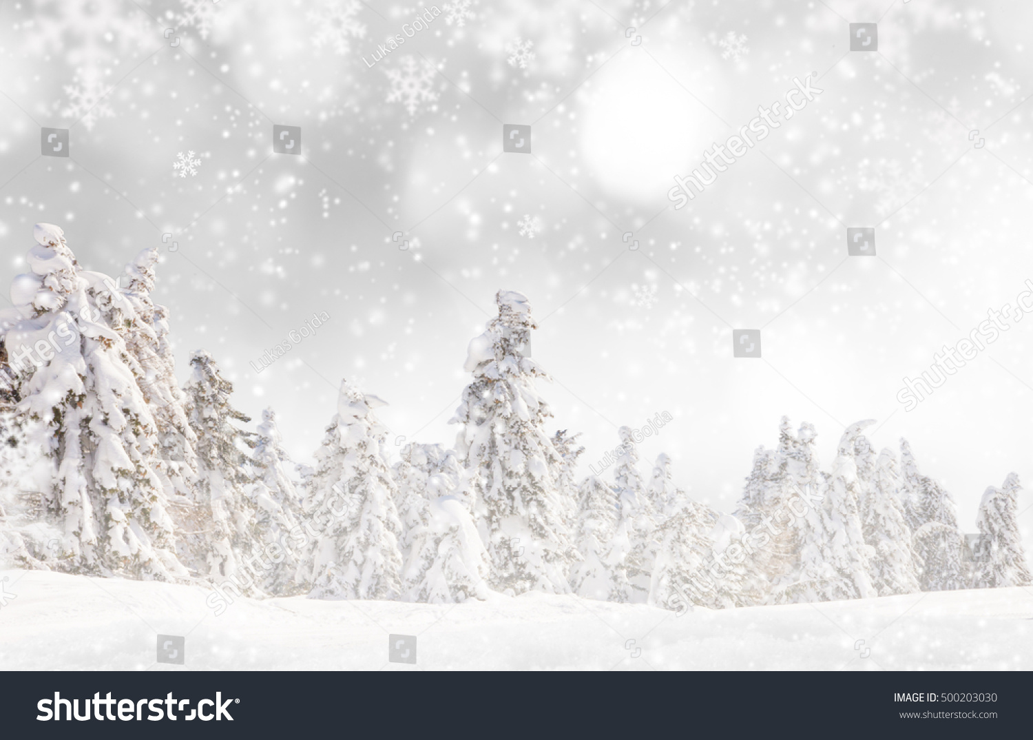 Christmas decoration on abstract background, close-up. #500203030