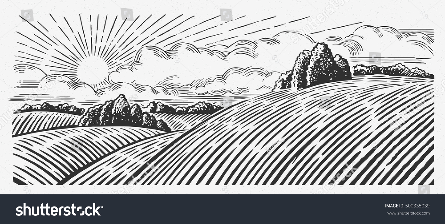 Rural landscape with hills, in the graphic style, illustration is hand-drawn. #500335039
