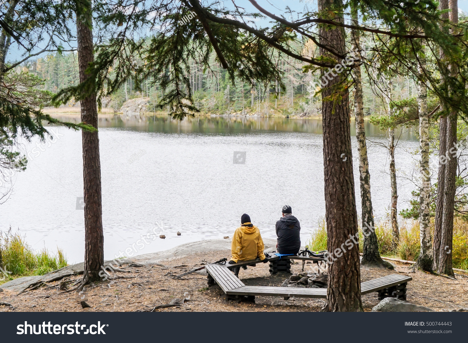 Rest during hiking in Tyresta National Park, Sweden #500744443