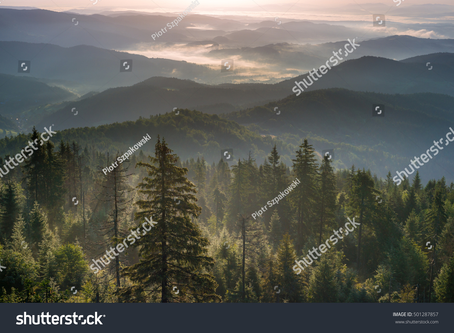 Mountains in morning fog. Aerial view   #501287857