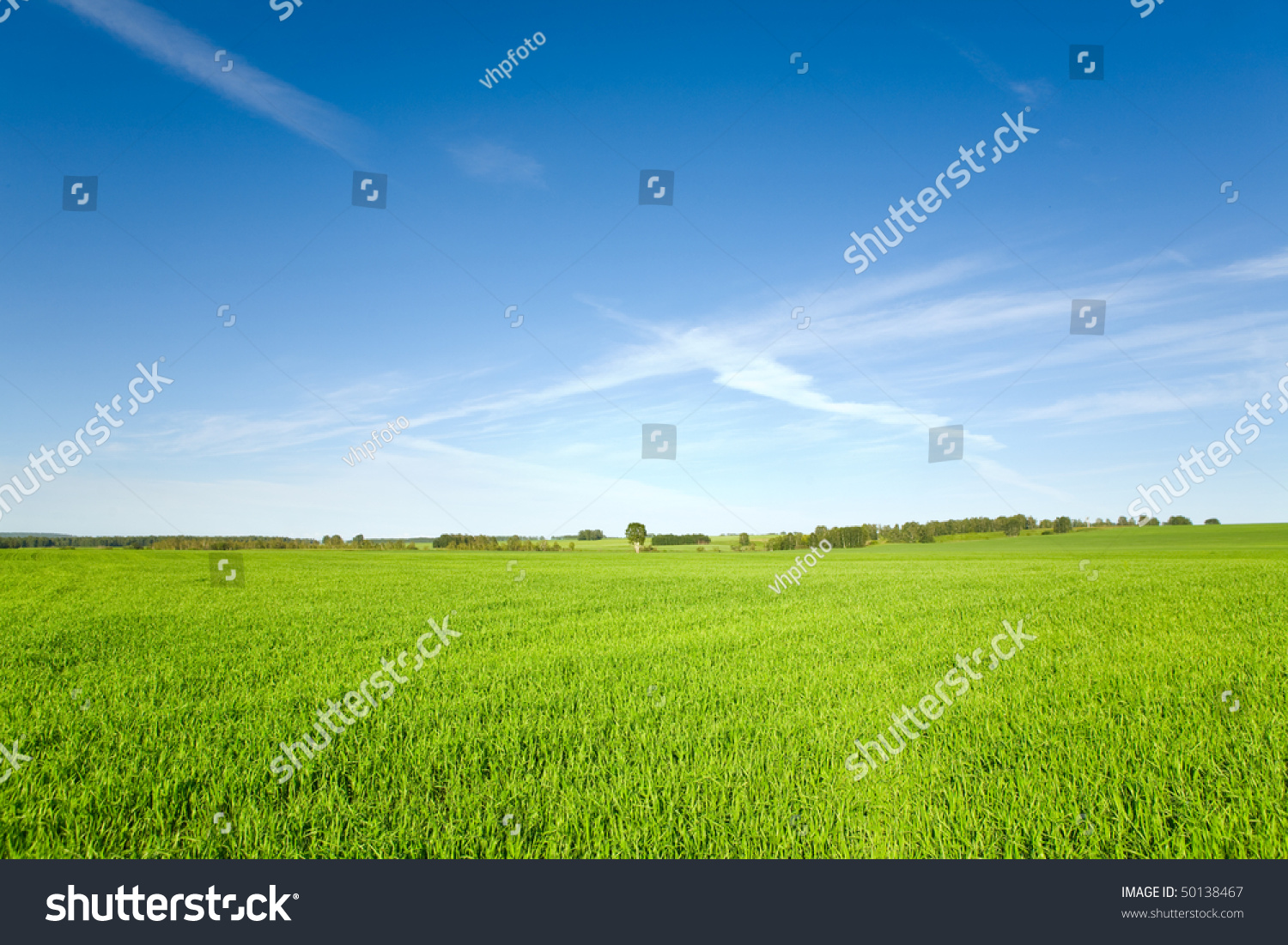 beautiful spring landscape and cloudy sky #50138467