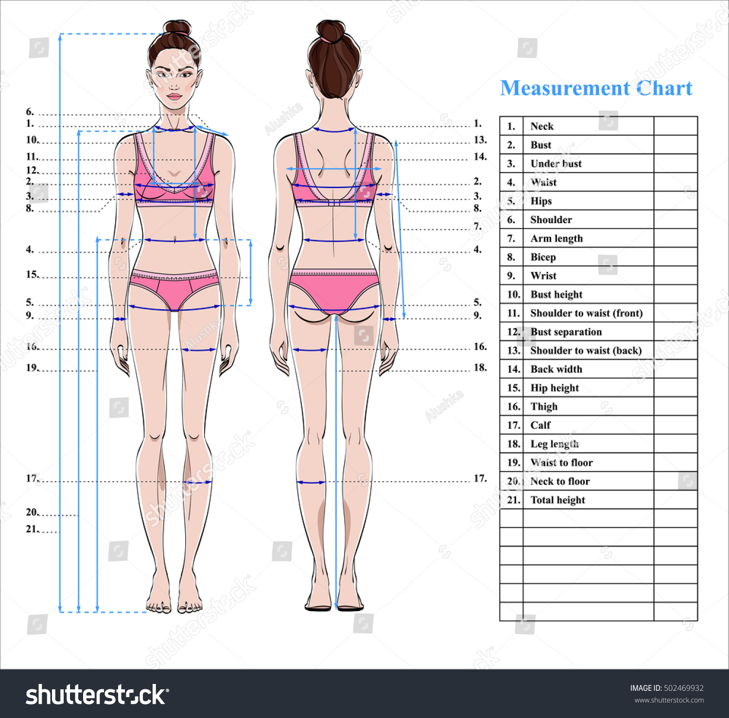 Woman Body Measurement Chart Scheme For Royalty Free Stock Vector 502469932 
