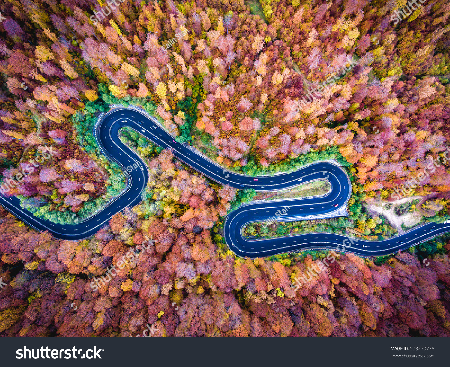 Aerial drone view of a curved winding road through the forest high up in the mountains #503270728