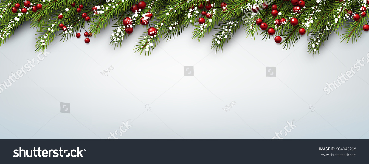 Christmas banner with fir branches and holly berries. Vector illustration. #504045298