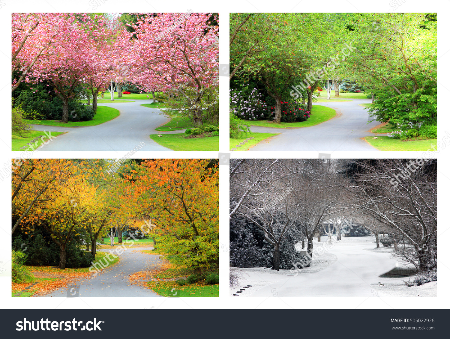 Spring, Summer, Fall and Winter. Four seasons photographed on the same street from the exact same location.  #505022926