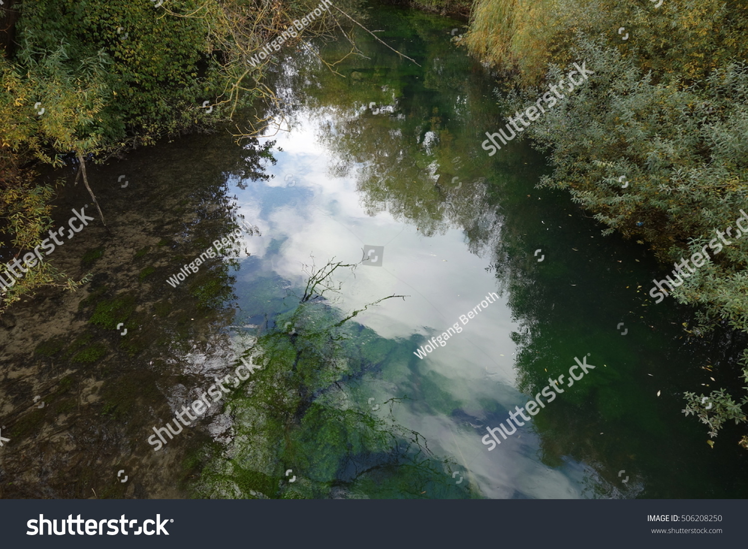 small stream with underwater plants #506208250