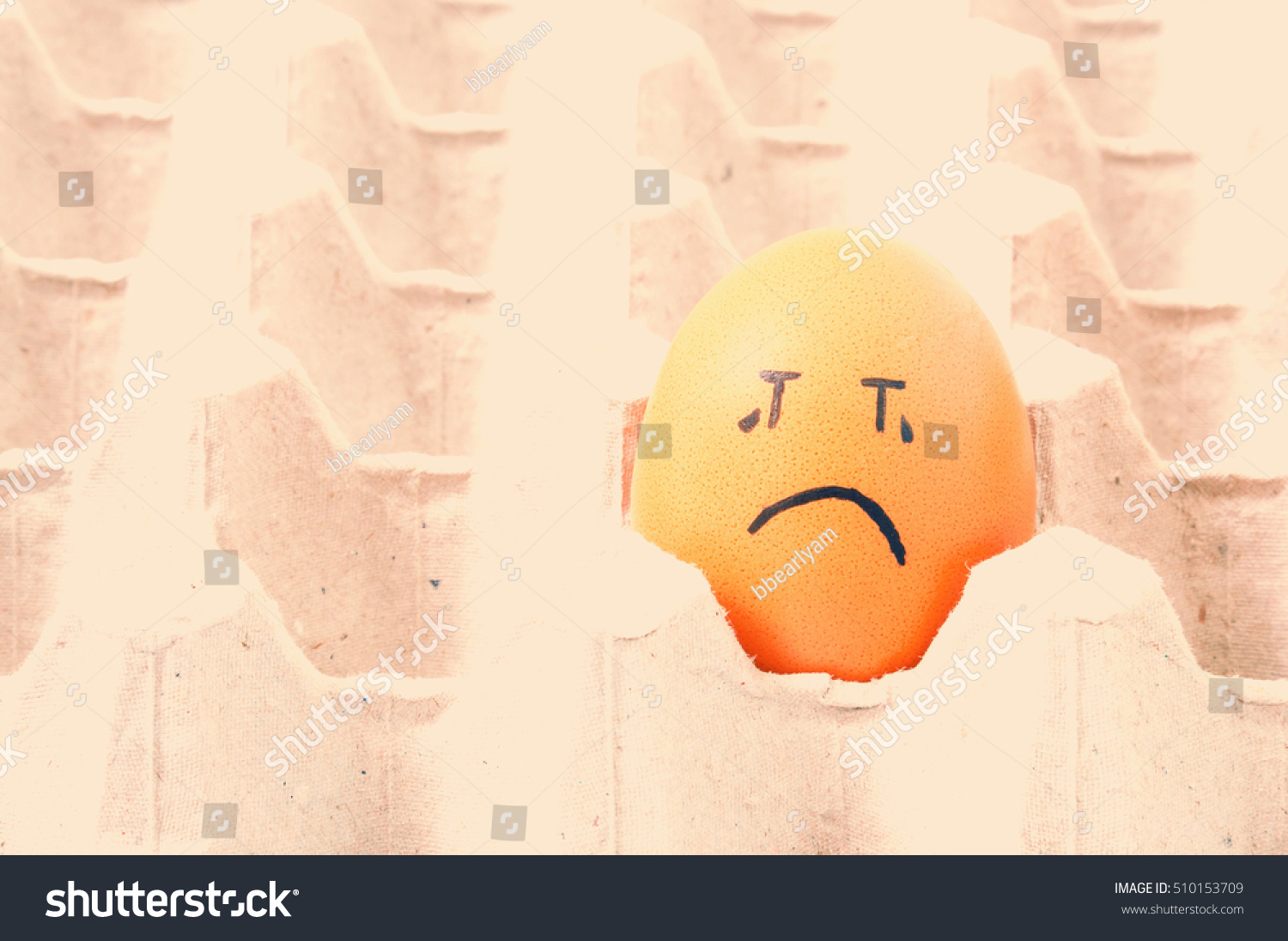  brown eggs face crying arranged in carton #510153709