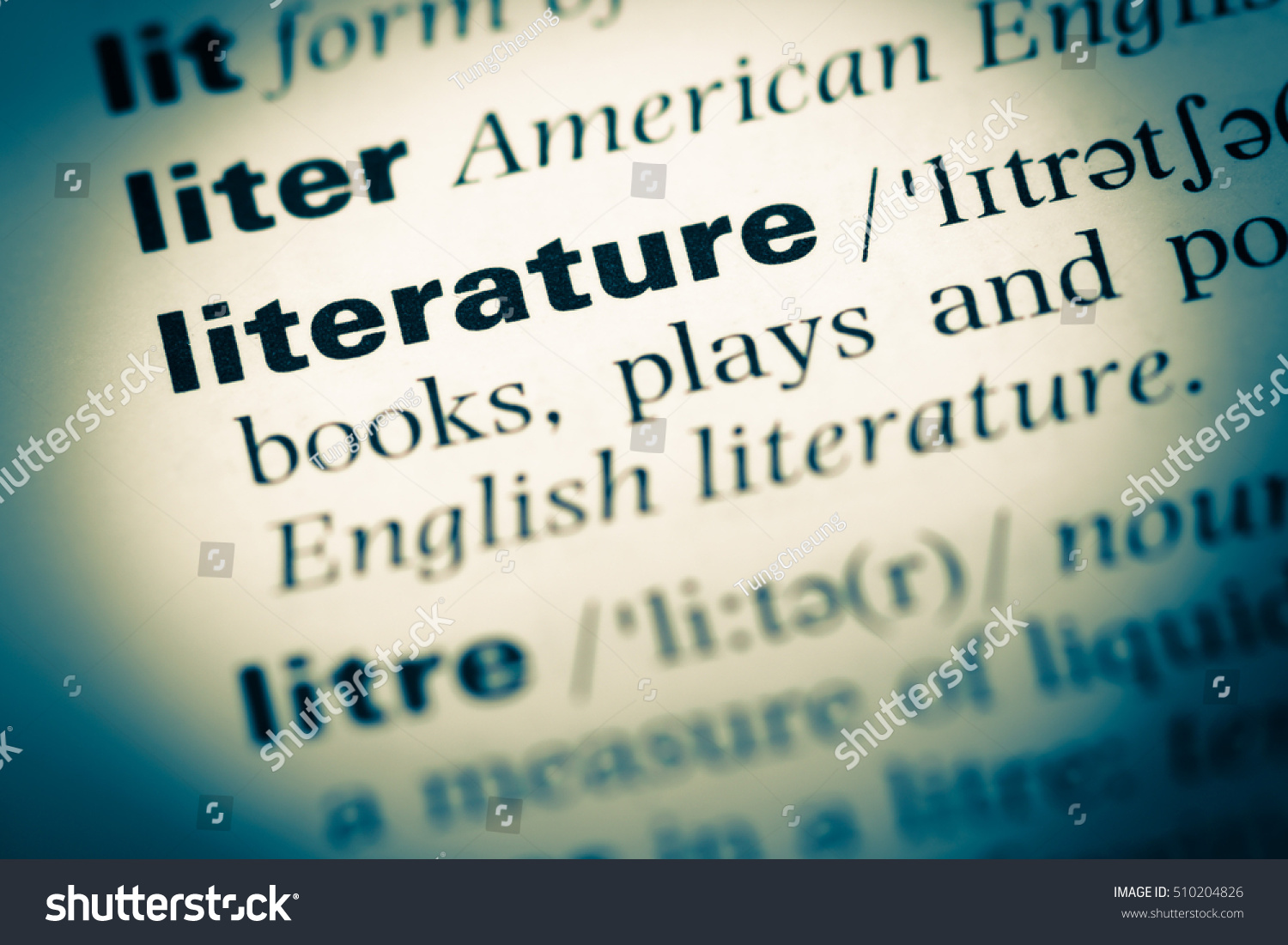 Close up of old English dictionary page with word literature #510204826