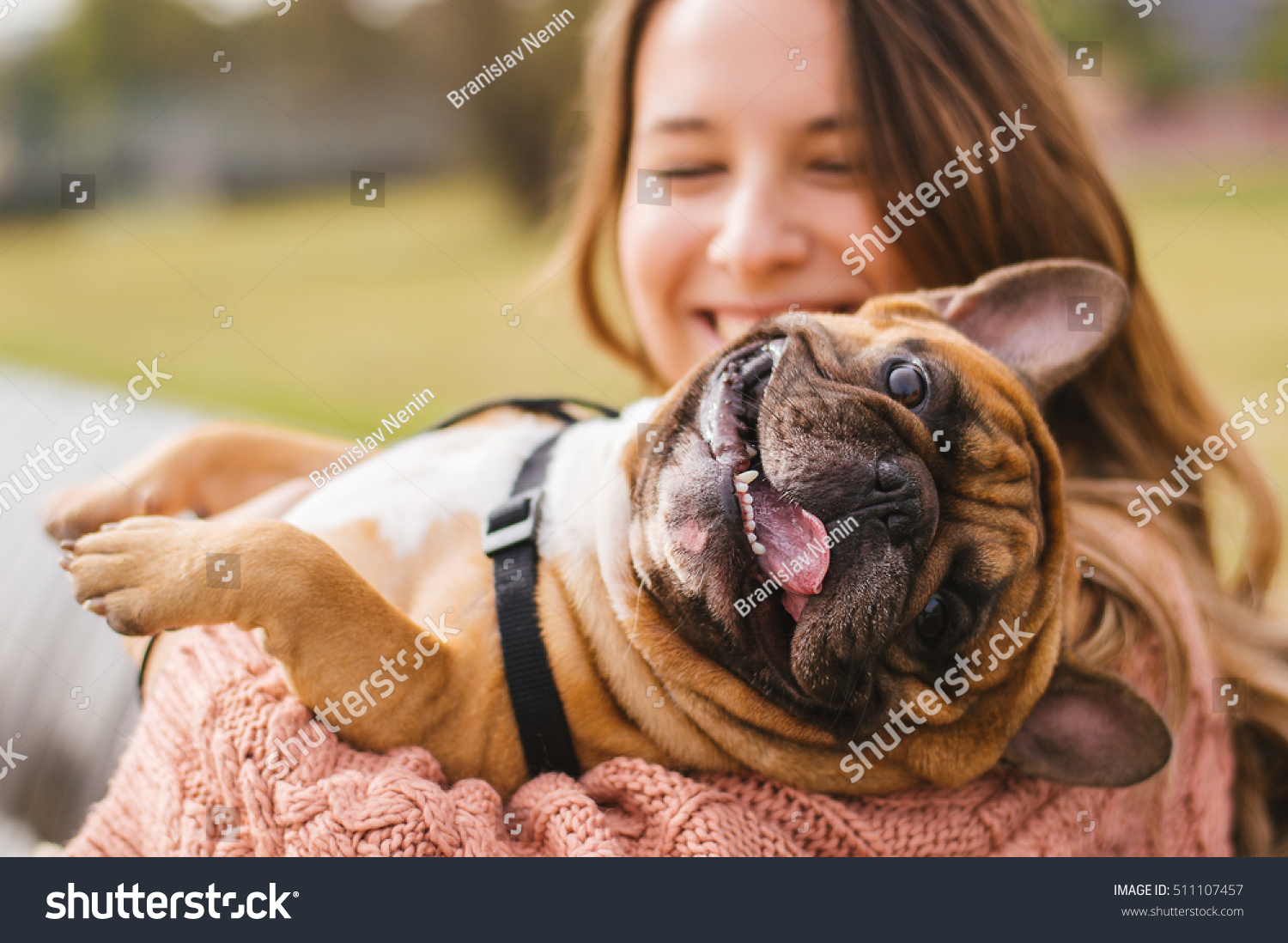 Little dog with owner spend a day at the park playing and having fun #511107457