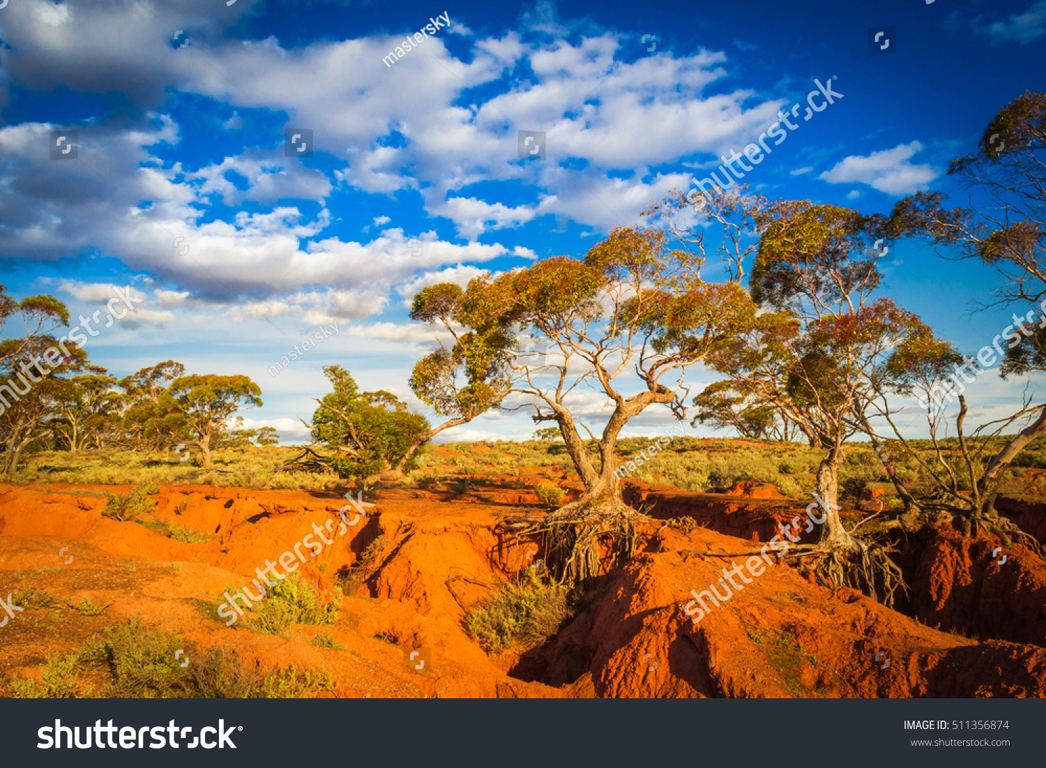 Red Banks Scenic Australian Outback rural Landscape #511356874
