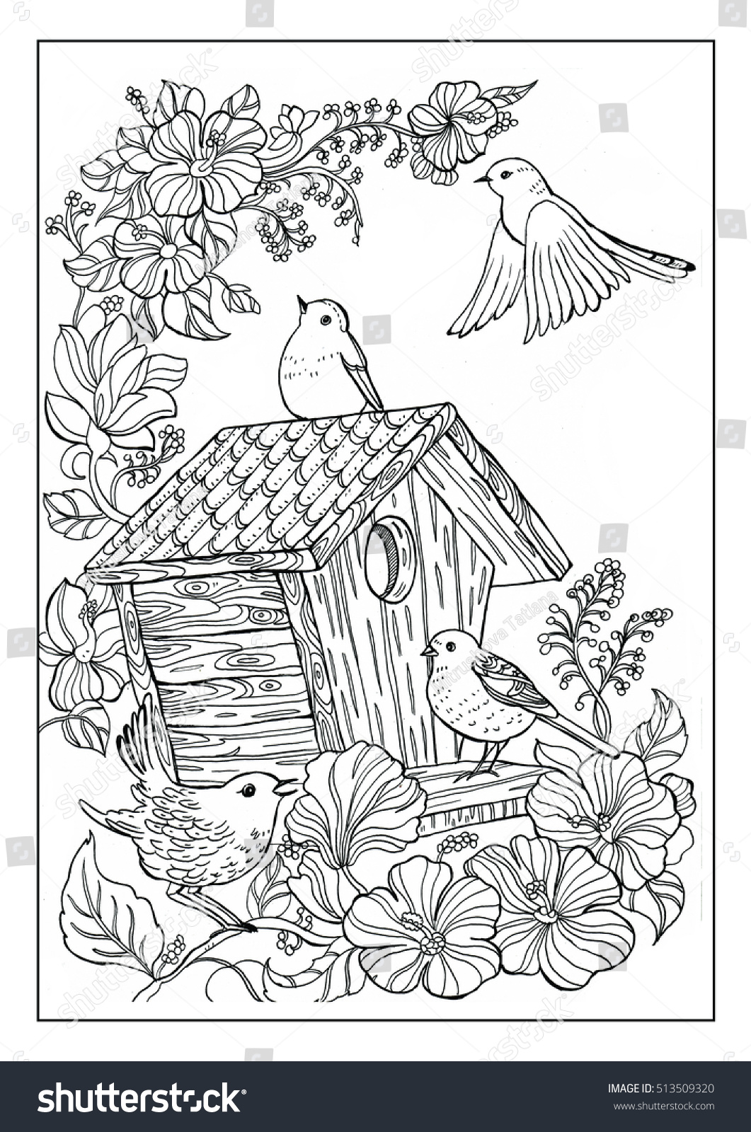 coloring book twenty pages  , Bird and flowers   Royalty Free ...