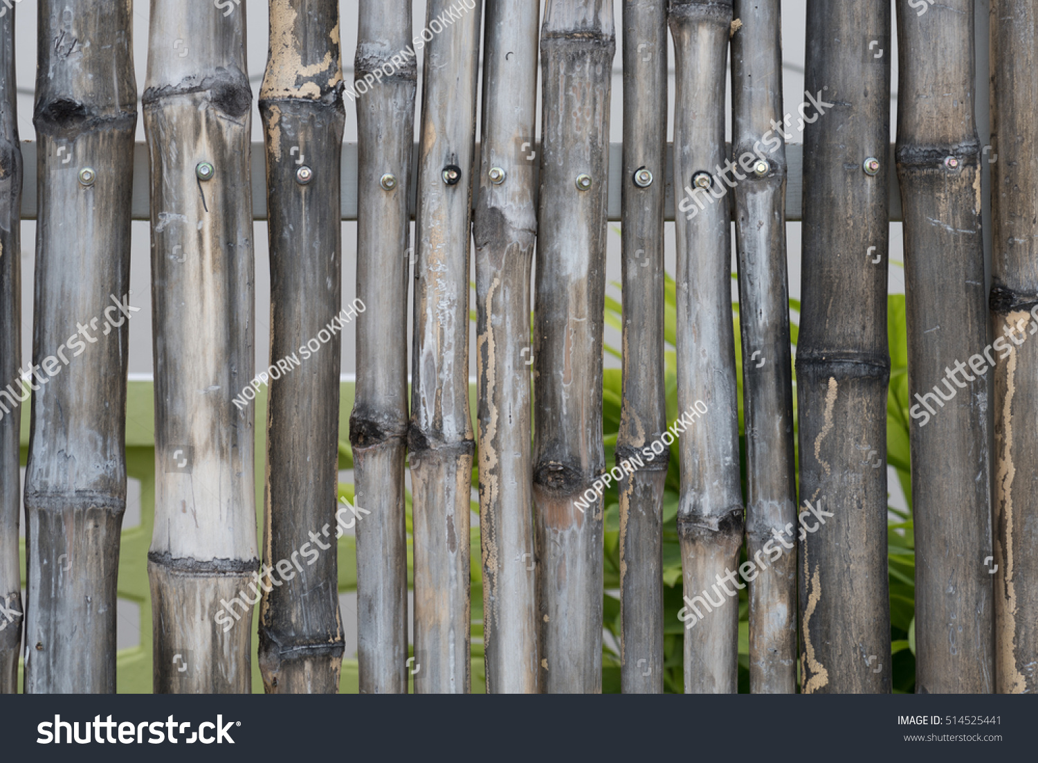 bamboo fence background #514525441