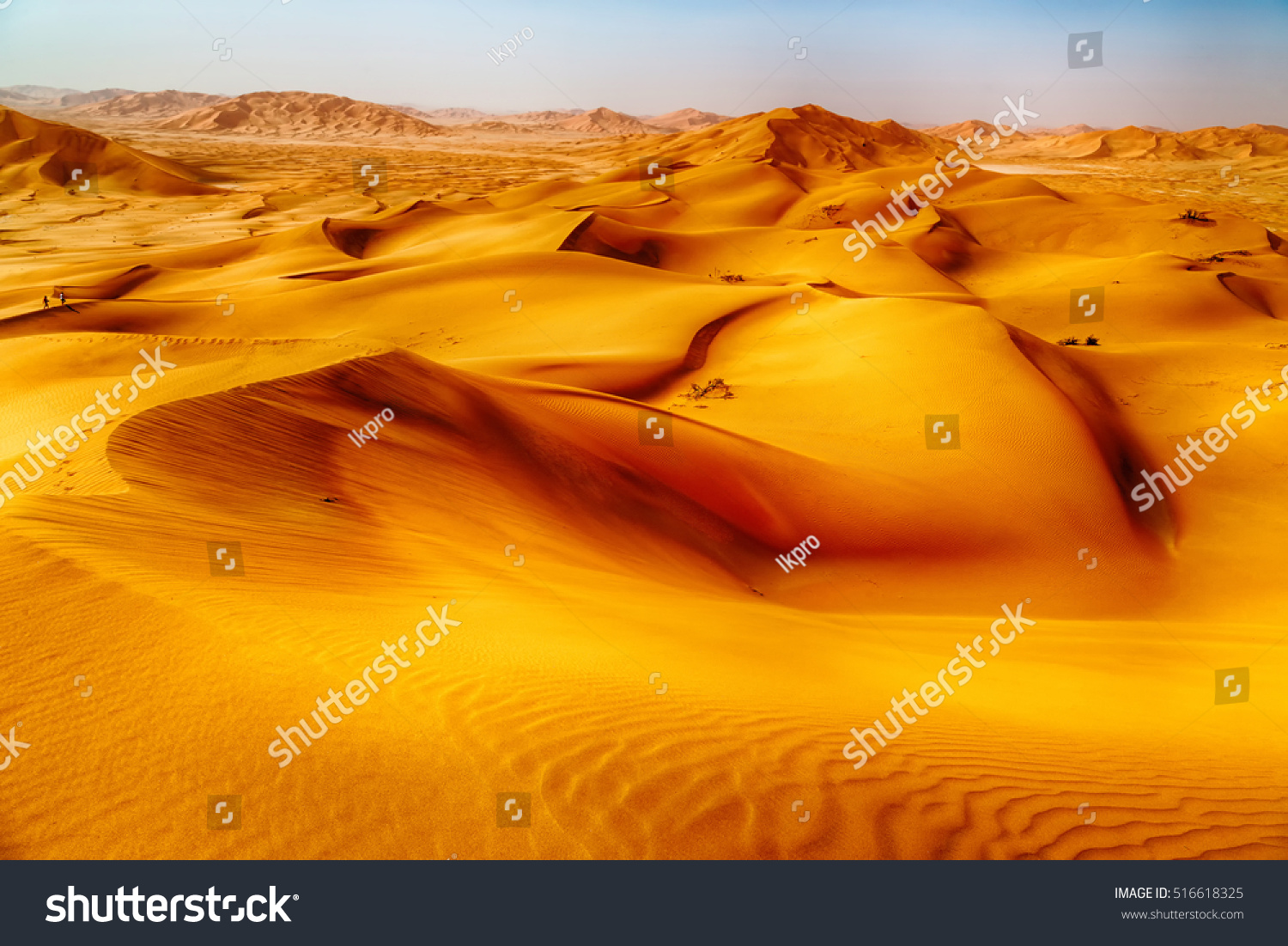 the empty quarter  and outdoor  sand  dune in oman old desert rub al khali  #516618325