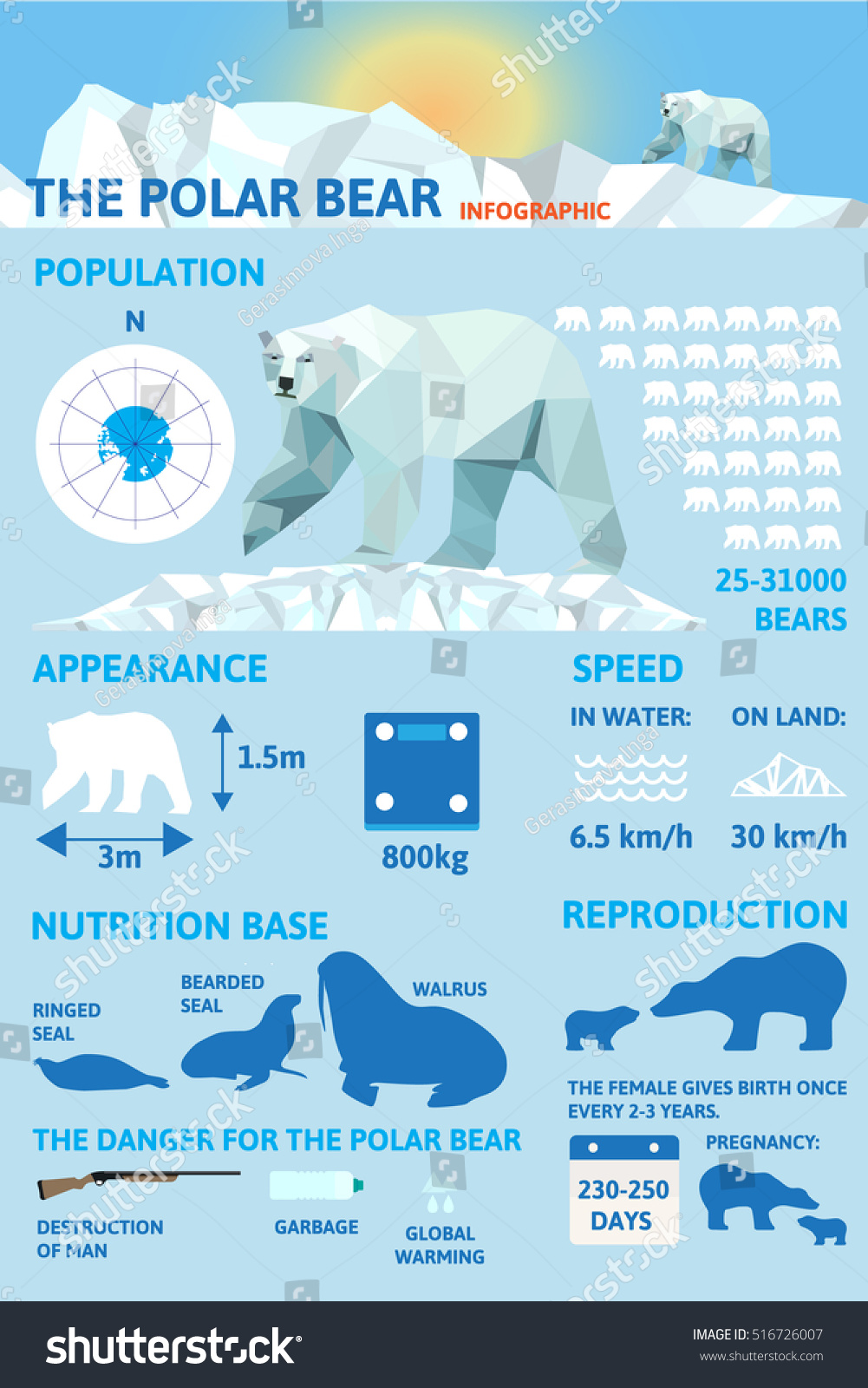 Polar bears Infographics. Flat design element. - Royalty Free Stock ...