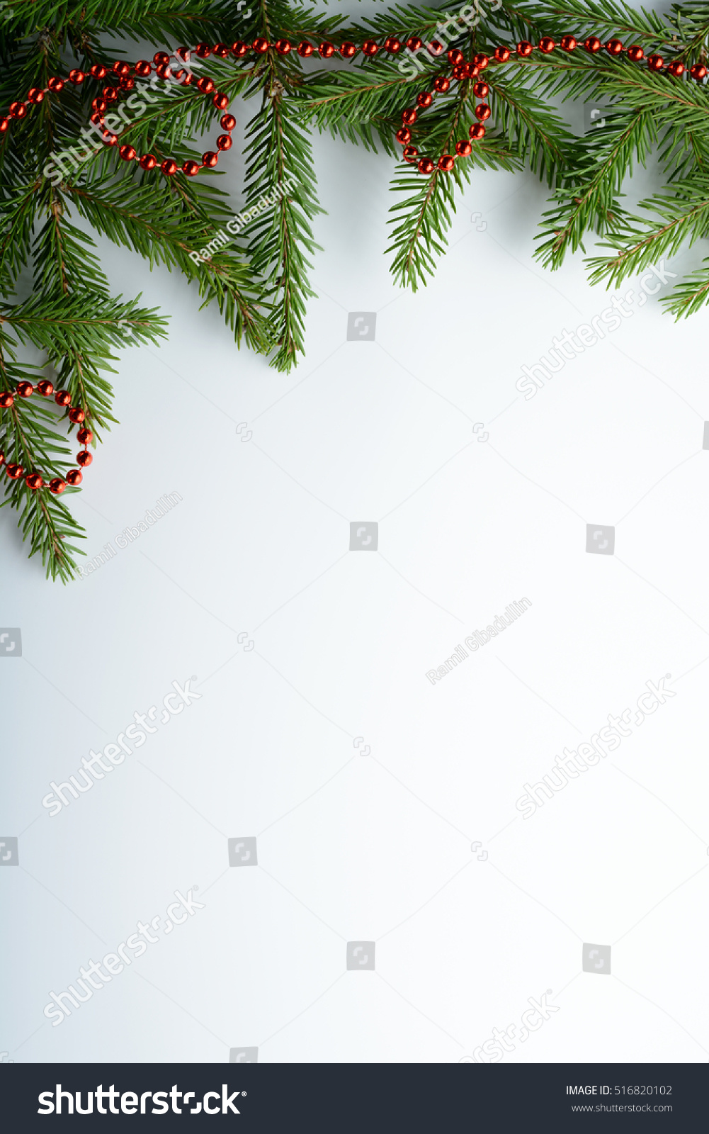 Spruce branches and red beads on a white background #516820102