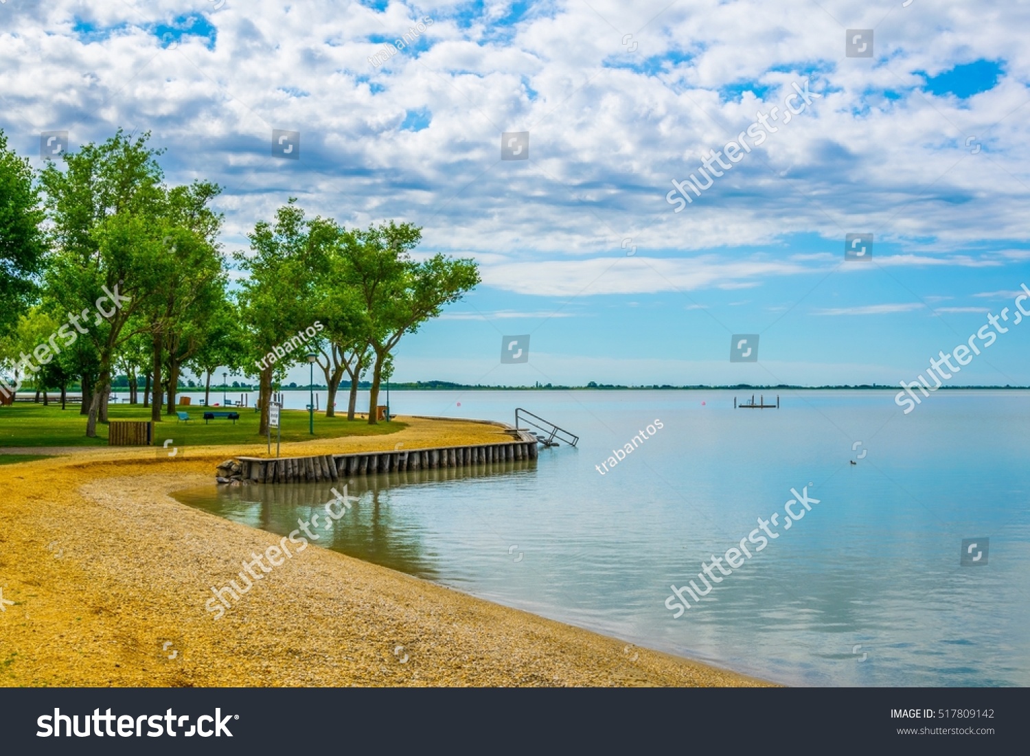maintained part of shore of the neusiedler see in Austria #517809142