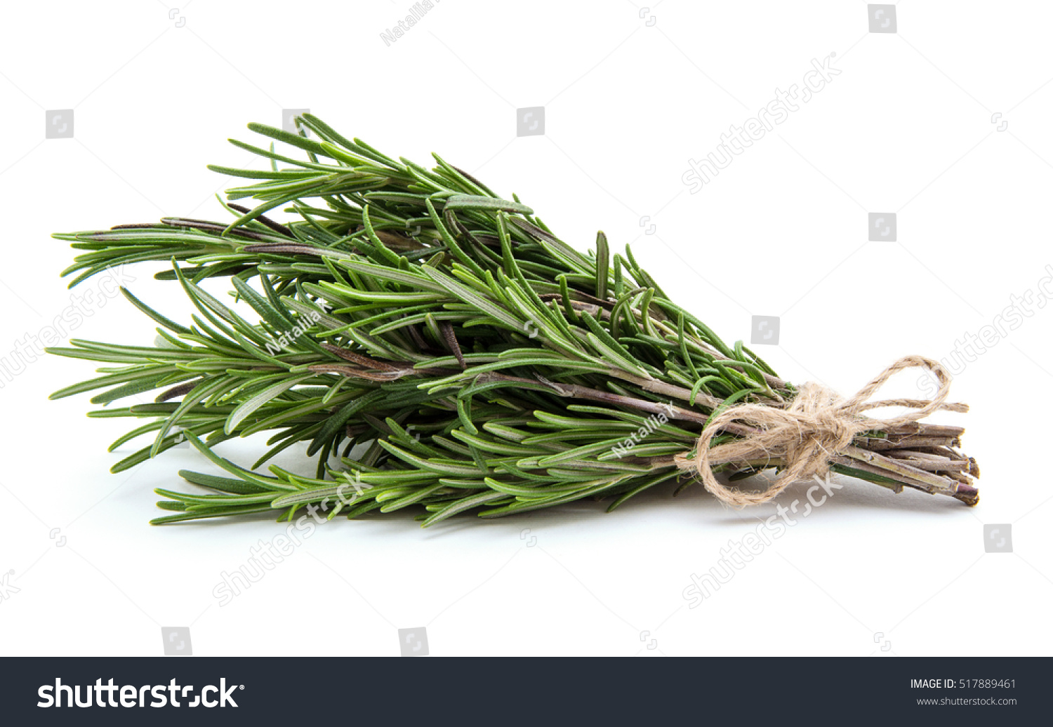 Rosemary bound on a white background #517889461