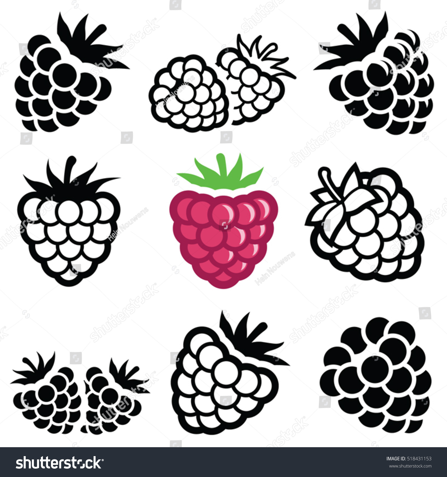 Raspberry fruit icon collection - vector outline and silhouette #518431153