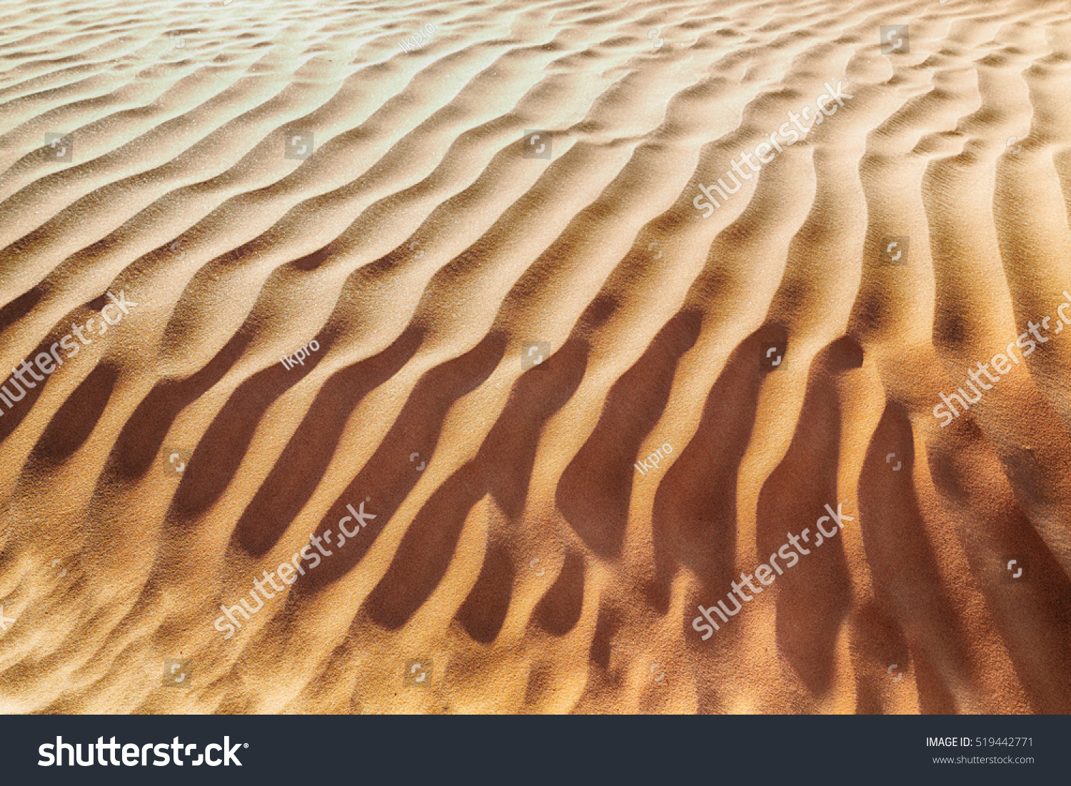 abstract texture line wave in oman the old desert  and the empty quarter  #519442771