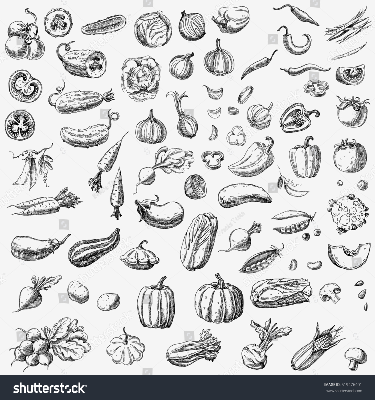 Set of various hand drawn vegetables. Sketches of different food. Isolated on white #519476401