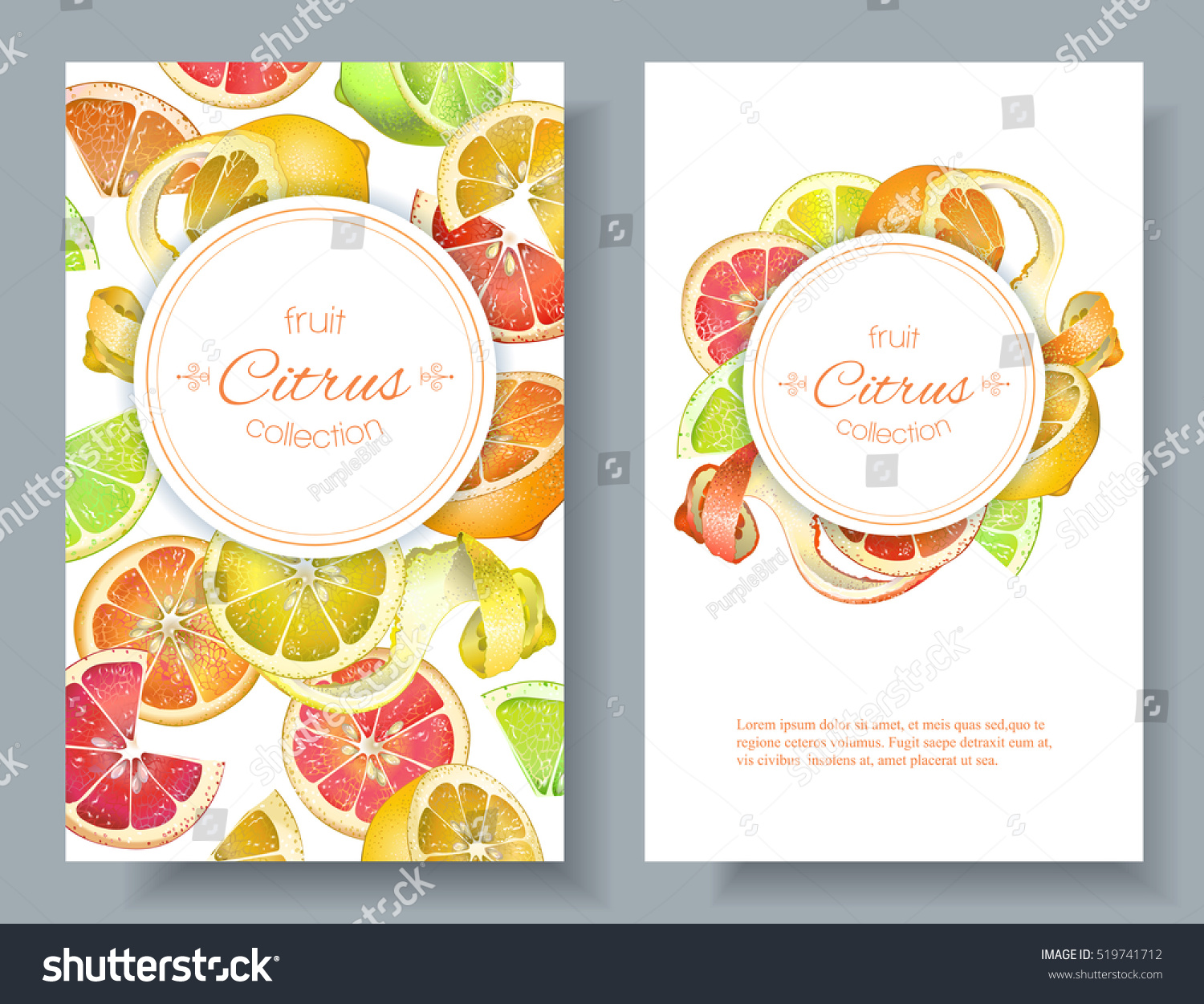 Vector citrus vertical banners. Design for juice - Royalty Free Stock ...