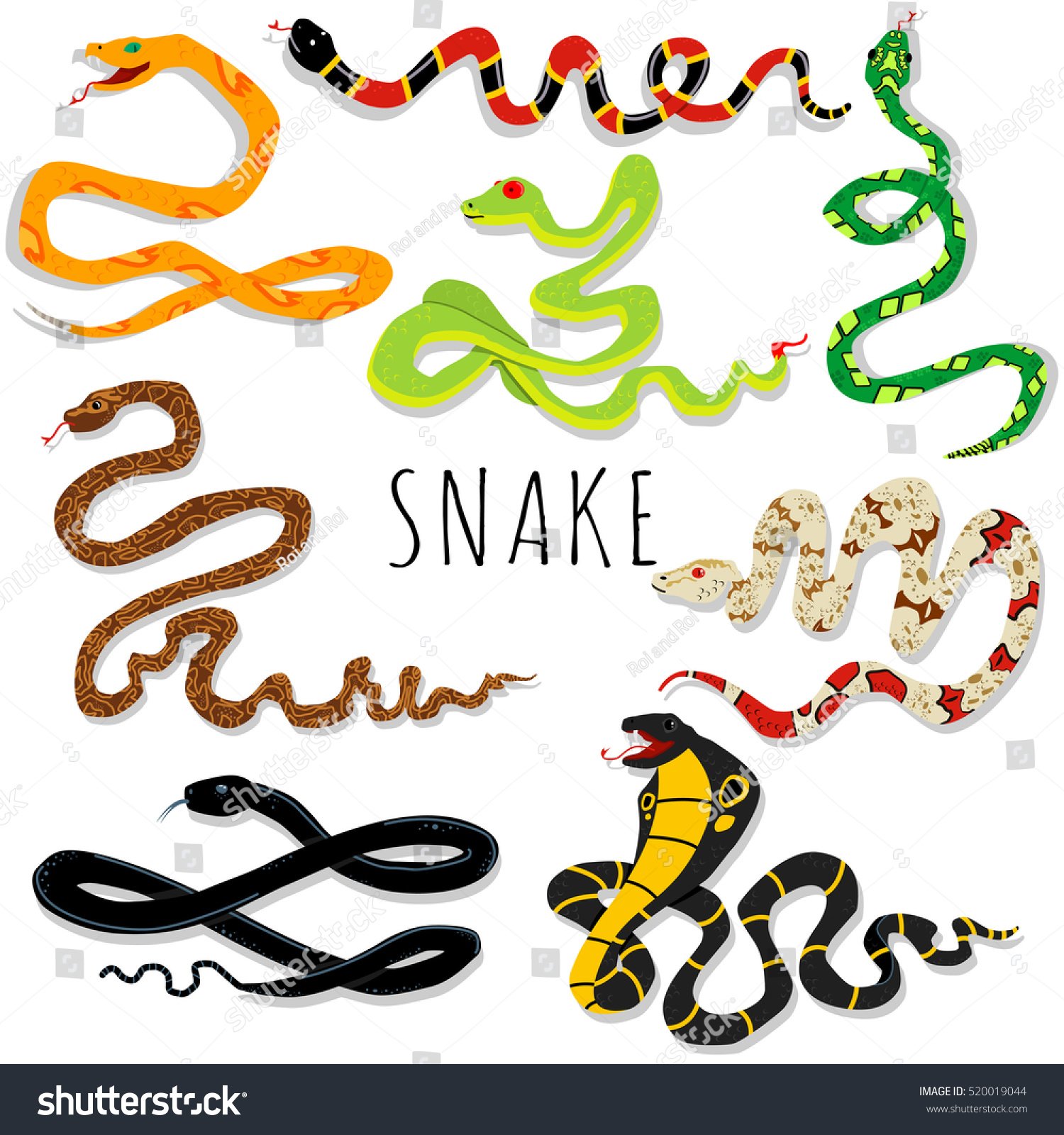 Snake cartoon vector set. Dangerous and toxic - Royalty Free Stock ...