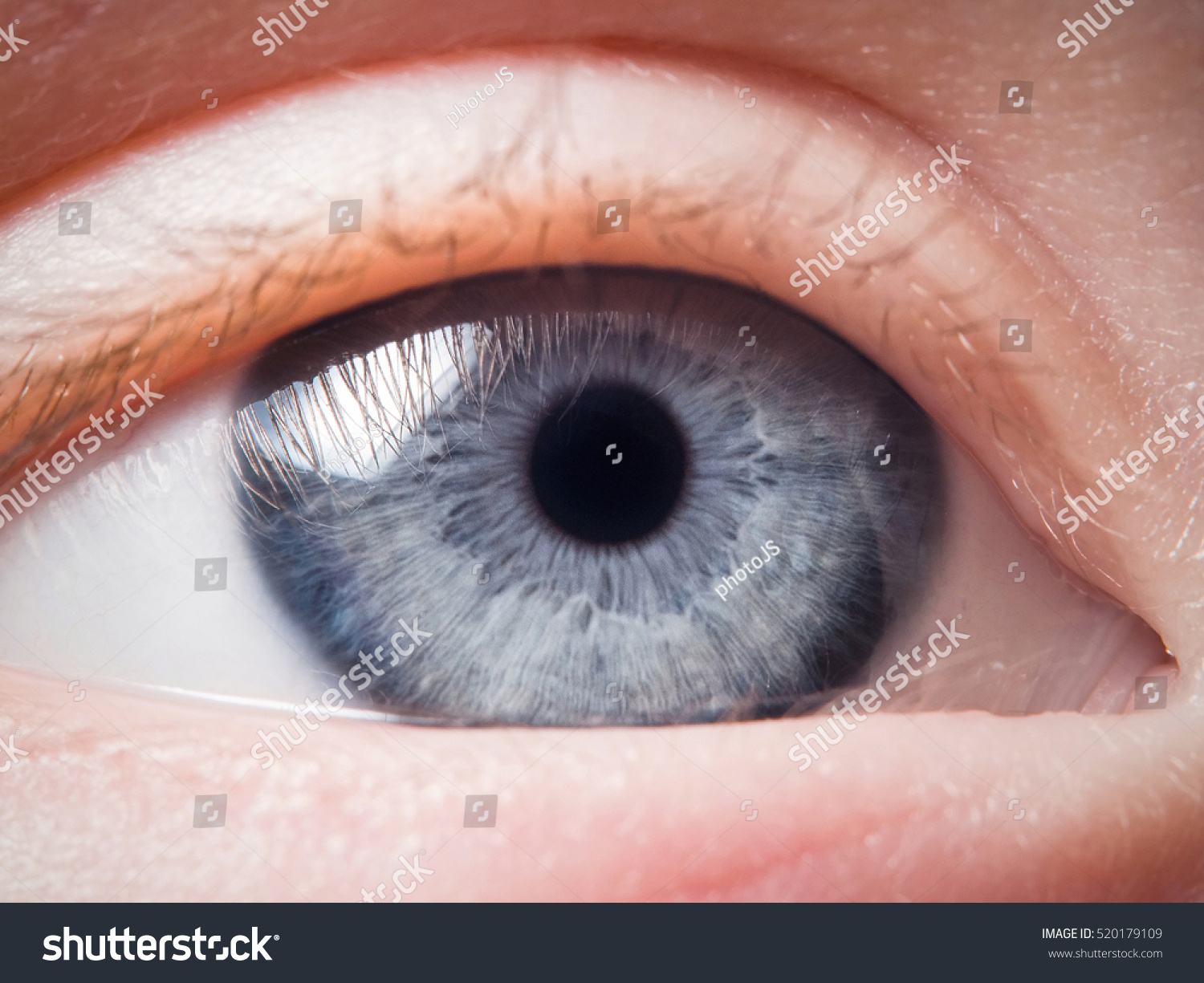 Human eye close-up #520179109