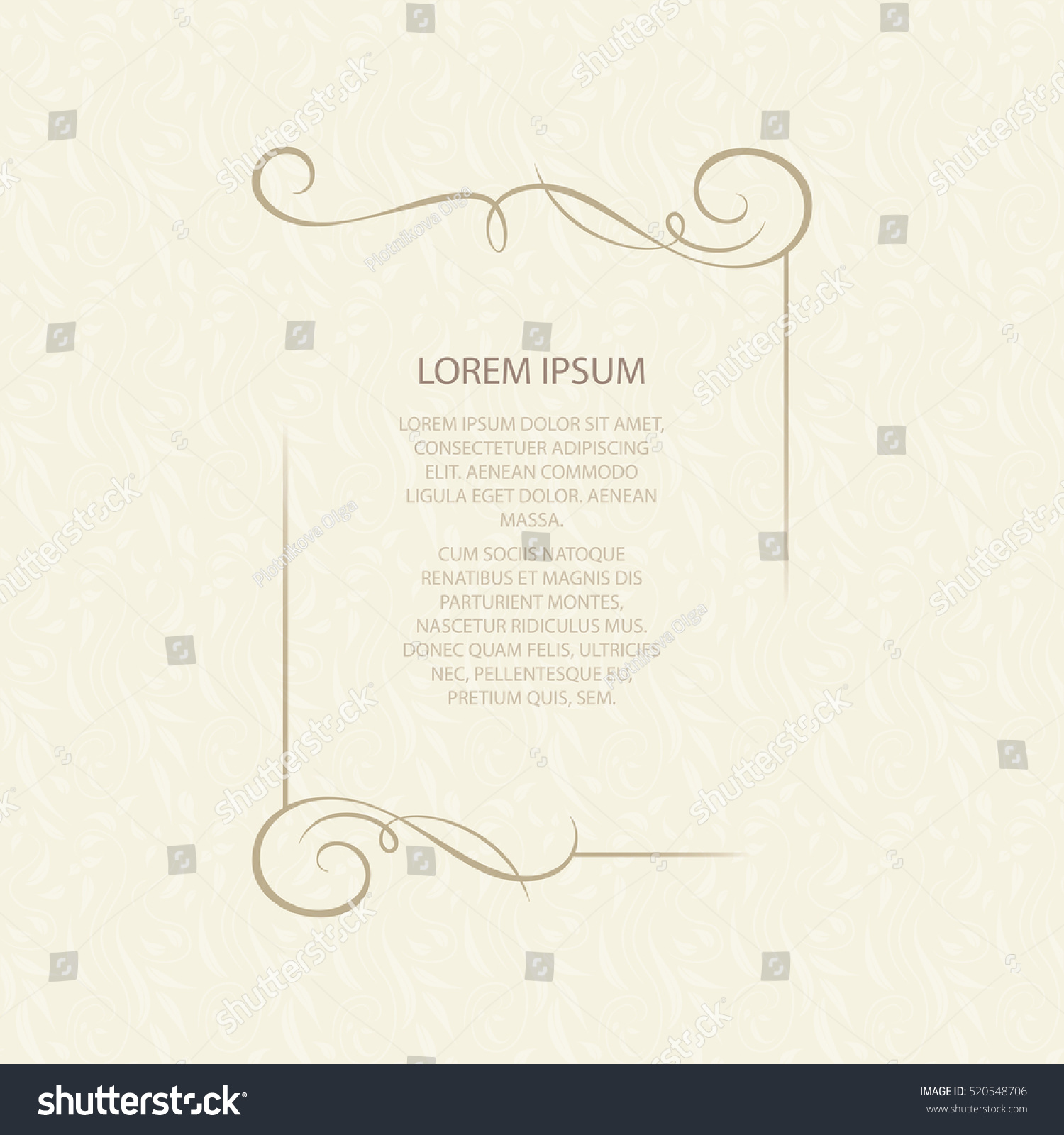 Vector decorative frame. Elegant element for design template, place for text. Floral border. Lace decor for birthday and greeting card, wedding invitation. #520548706
