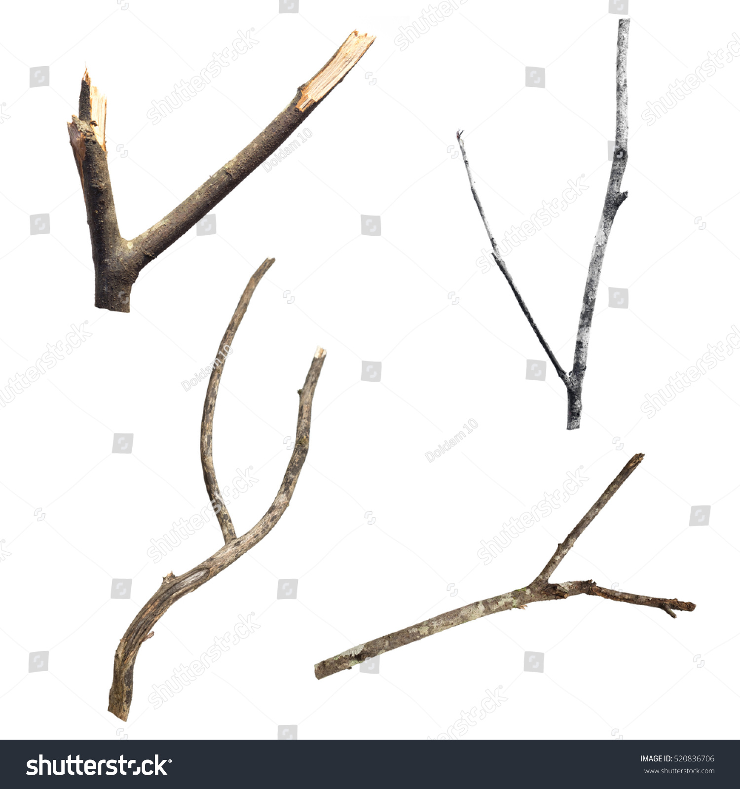 Set of dry tree branch, isolated on white background #520836706