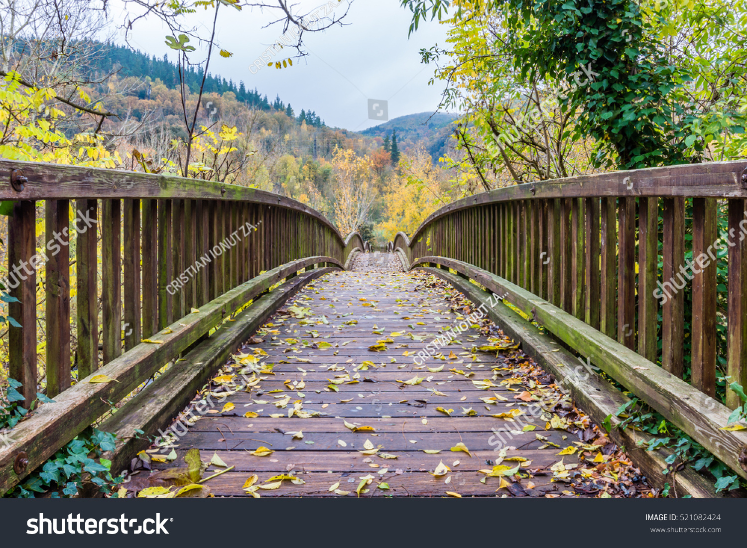 Beautiful wooden bridge over the river (bridge over the River of Fluvia, Castellfollit de la Roca village, Catalonia, Spain). #521082424