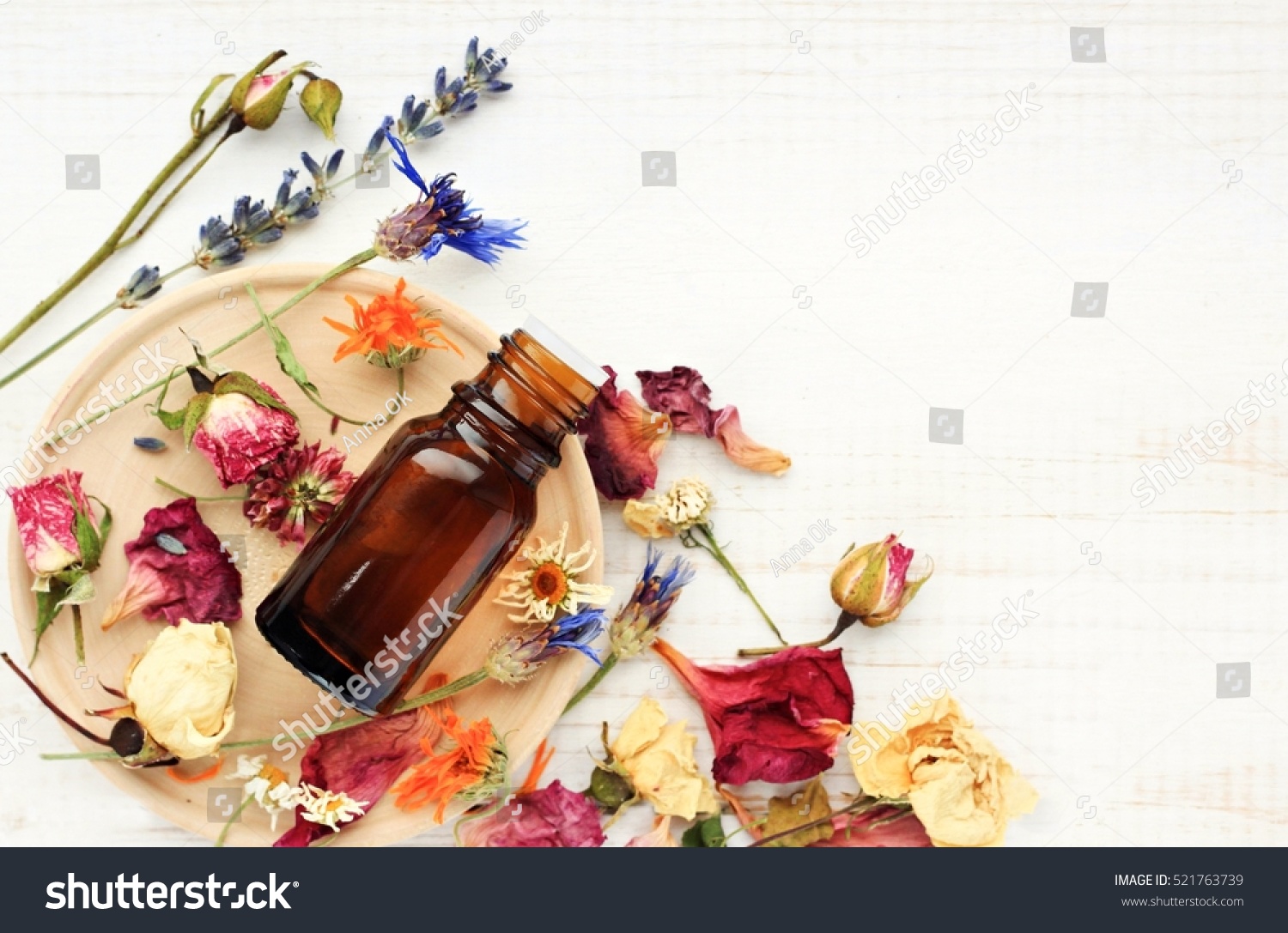 Various bright medicinal herb plant on wooden plate, essential oil extract bottle, top view. Botanical cosmetic ingredients, aromatherapy background. Herbal pharmacy #521763739