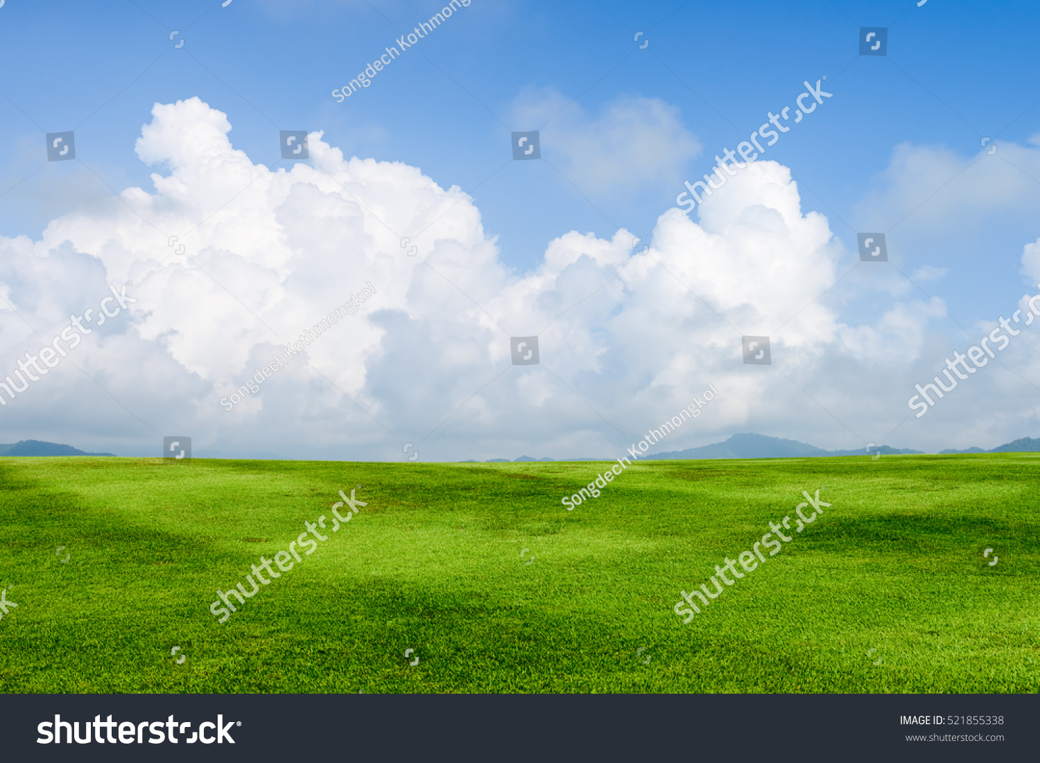 green grass field on blue sky with cloud background #521855338