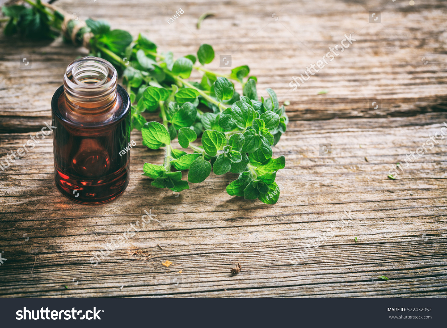Oregano essential oil and fresh twig on wooden background, copy space #522432052