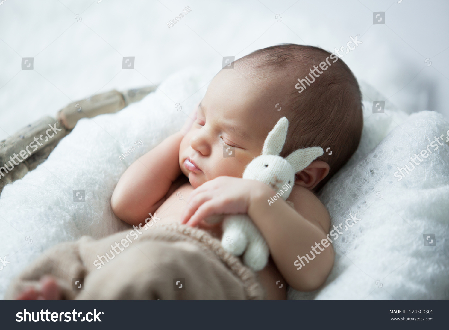 sweet newborn baby sleeps with a toy hare on a white background #524300305