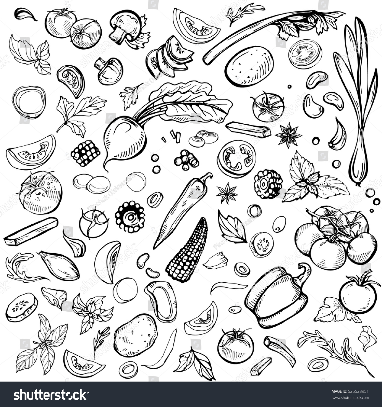 Hand drawn ink sketch. Set of various vegetables. Sketches of different food. Isolated on white #525523951