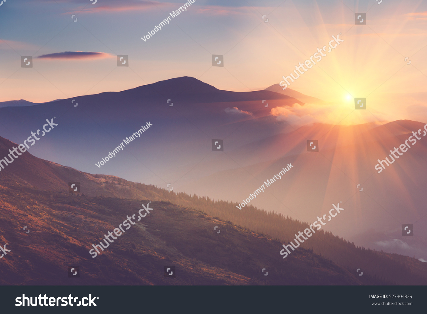 Beautiful landscape in the mountains at sunrise. View of foggy hills covered by forest. Filtered image:cross processed retro effect.  #527304829