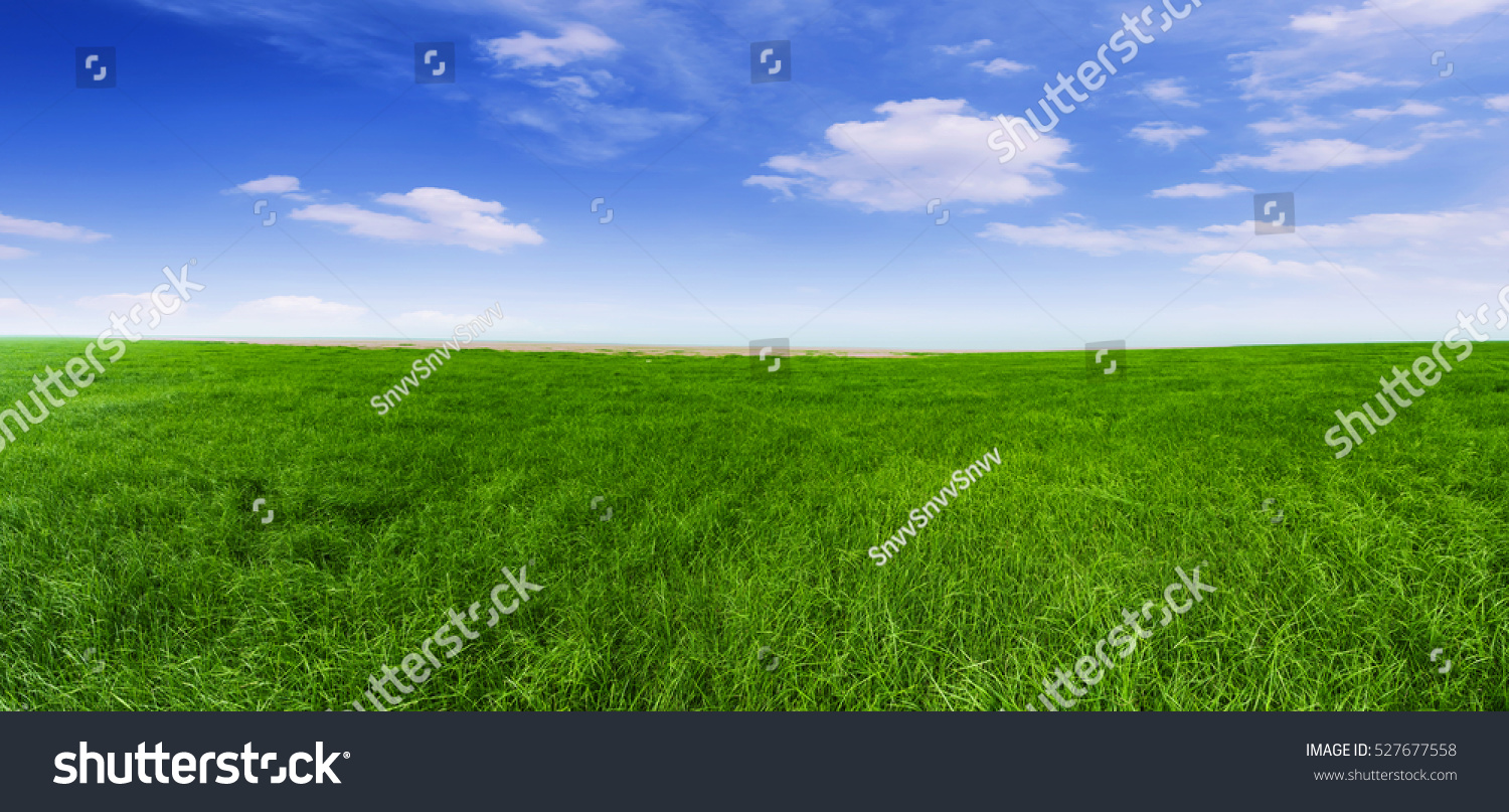 Green meadow under blue sky with clouds #527677558
