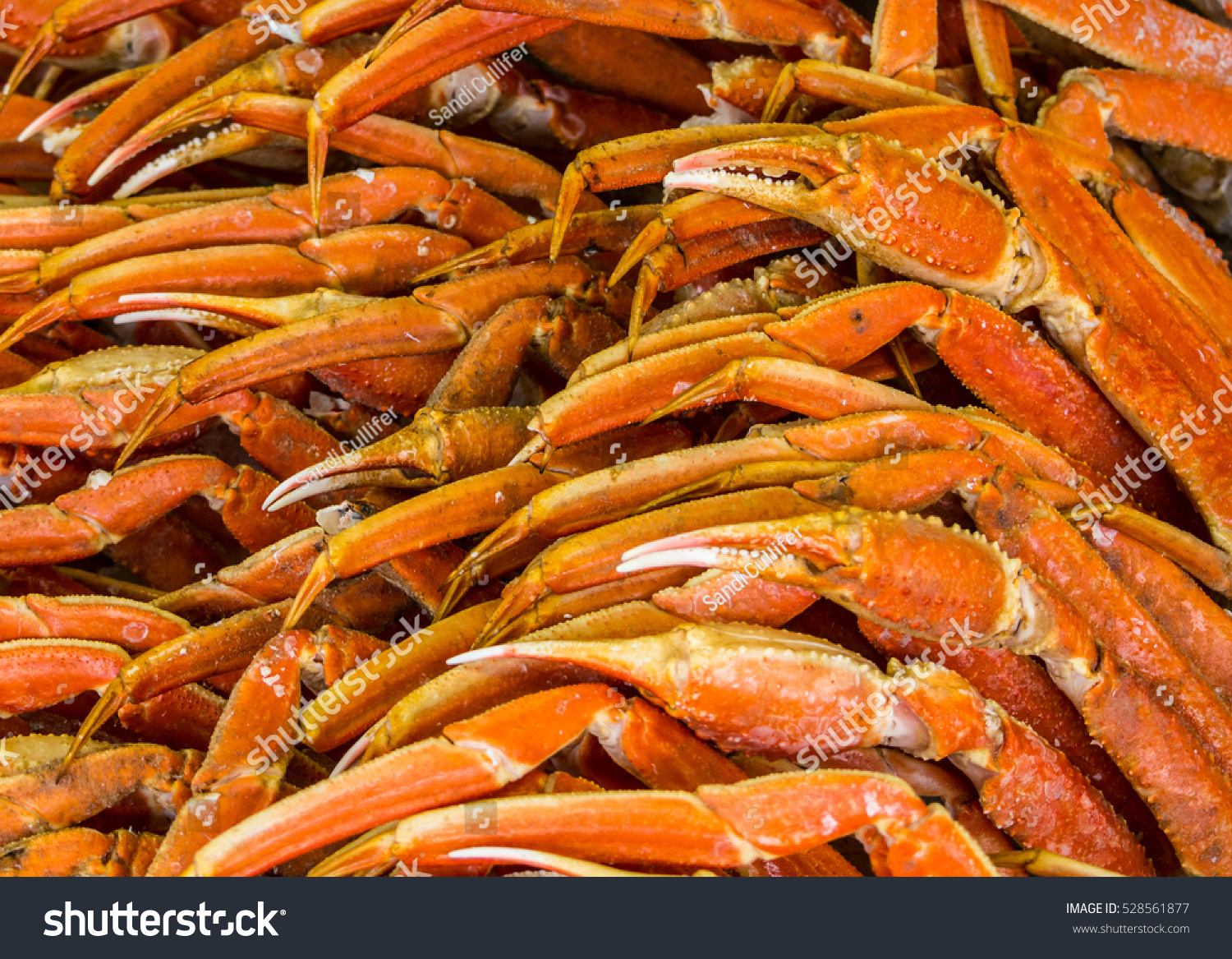 KING CRAB LEGS FOR SALE AT THE FISH MARKET - Royalty Free Stock Photo